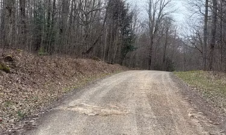 Hemlock Run - FS 267