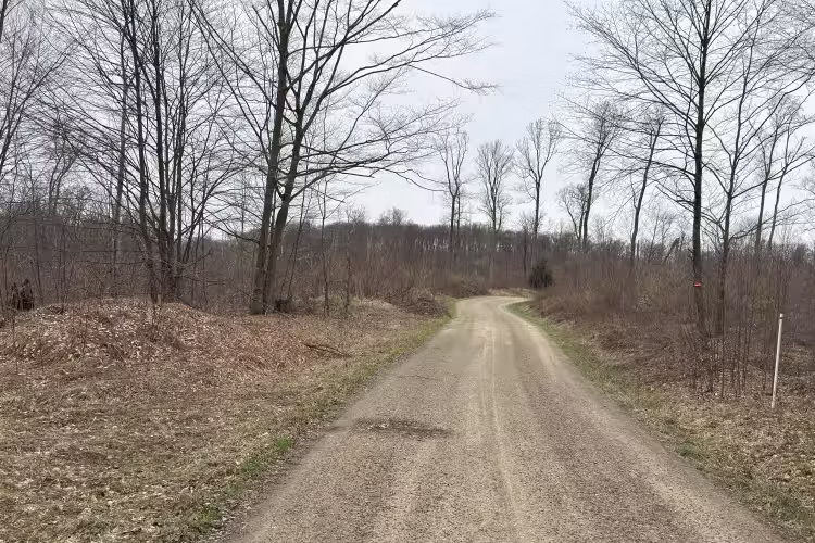 Briggs Run - FS 177