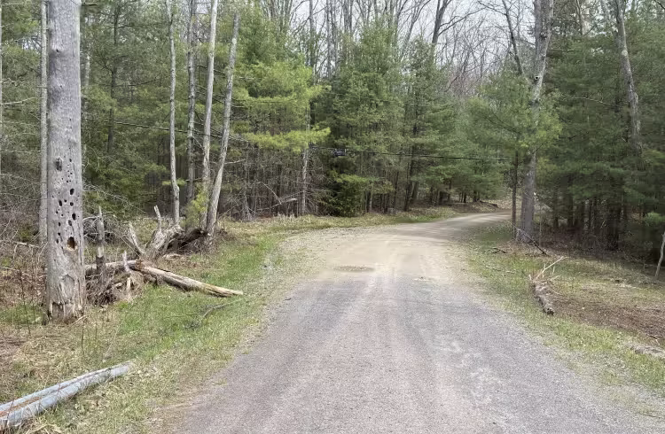 Hemlock Trail - FS 327