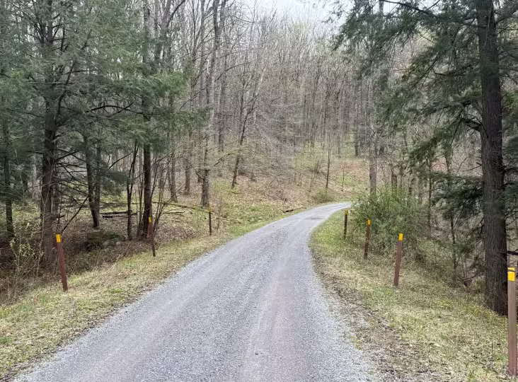 North Branch Sugar Run - FS 271