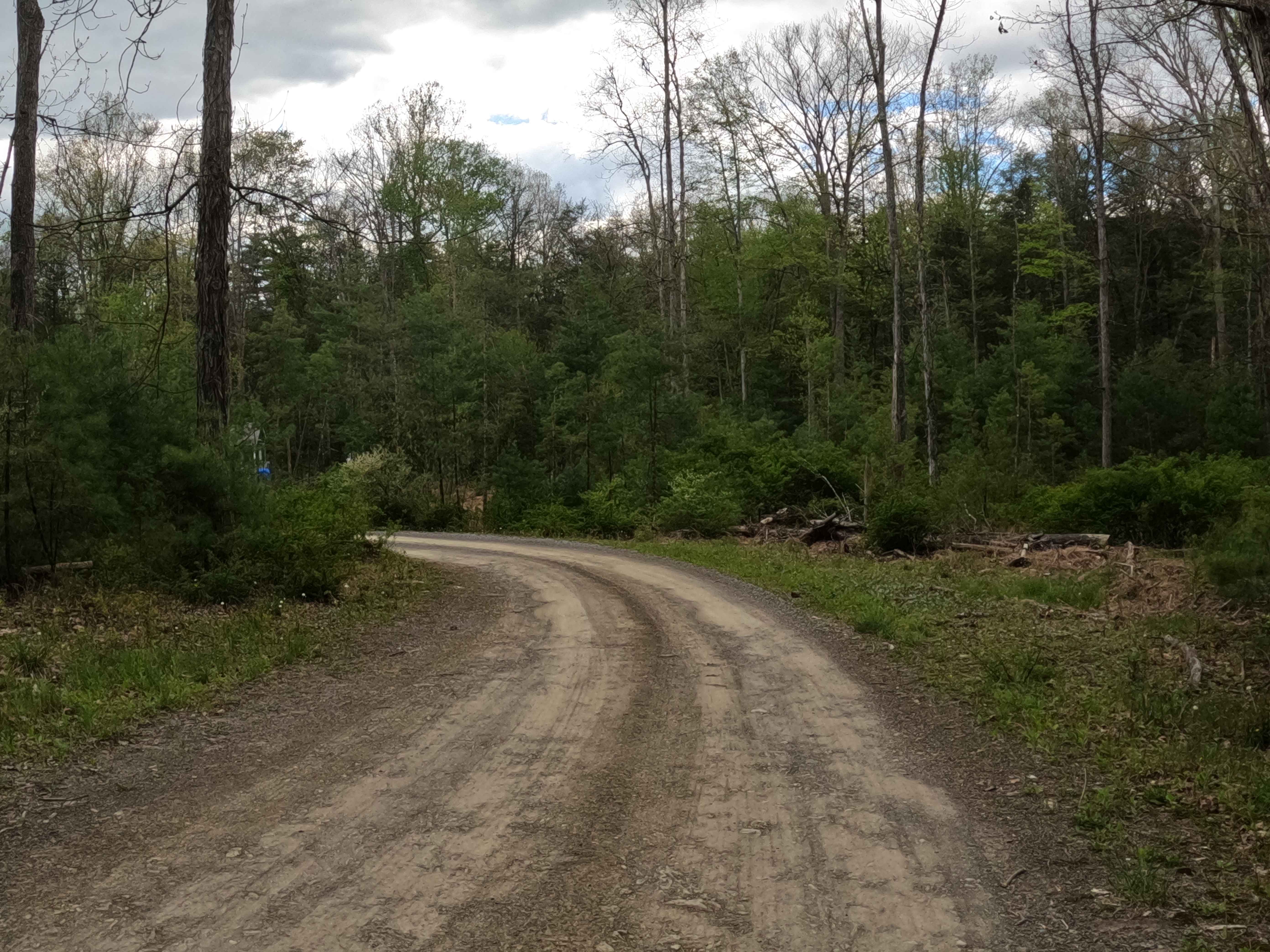 Beidler Road
