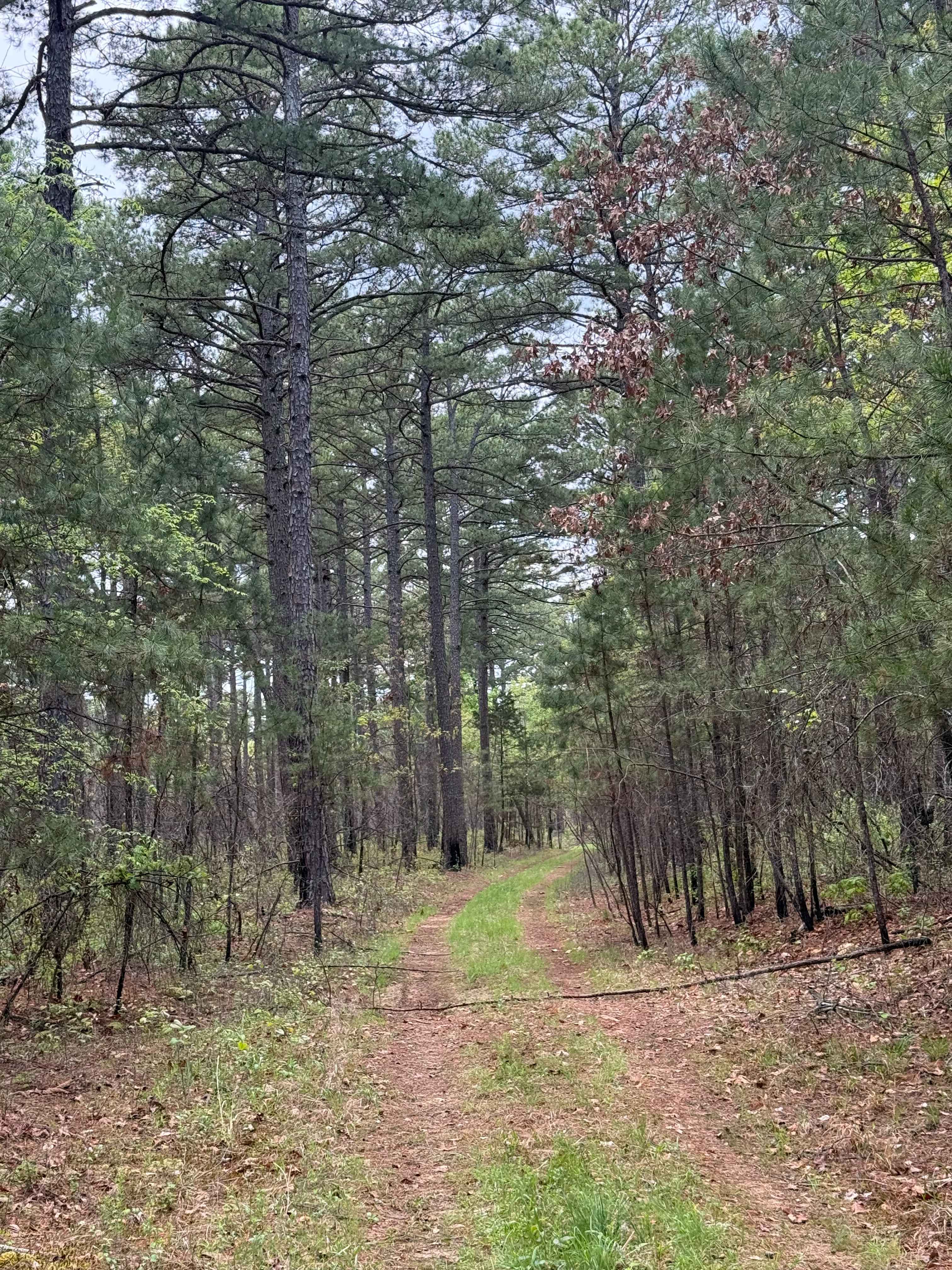 Shortcut Central