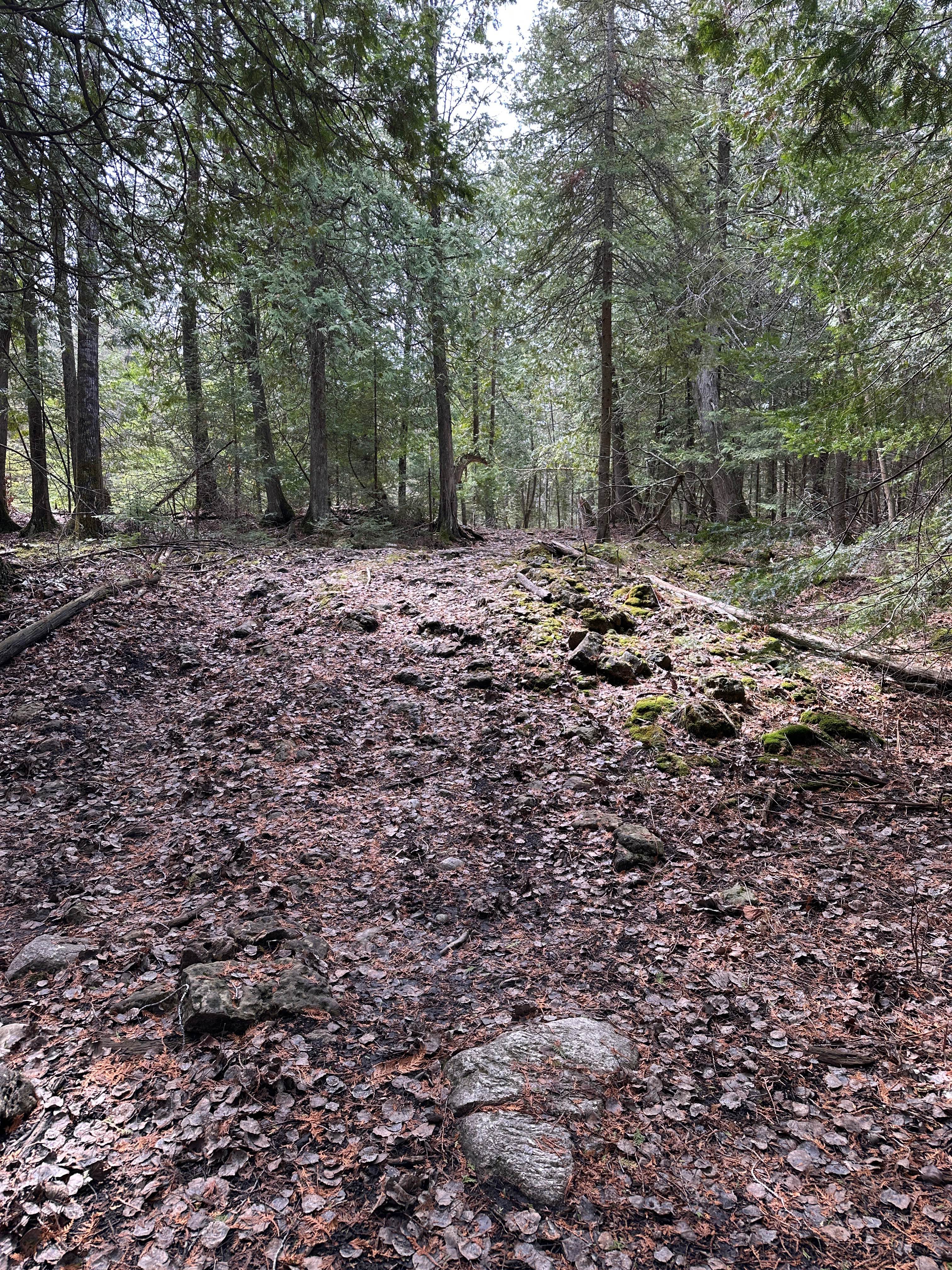 Lower Mud Run