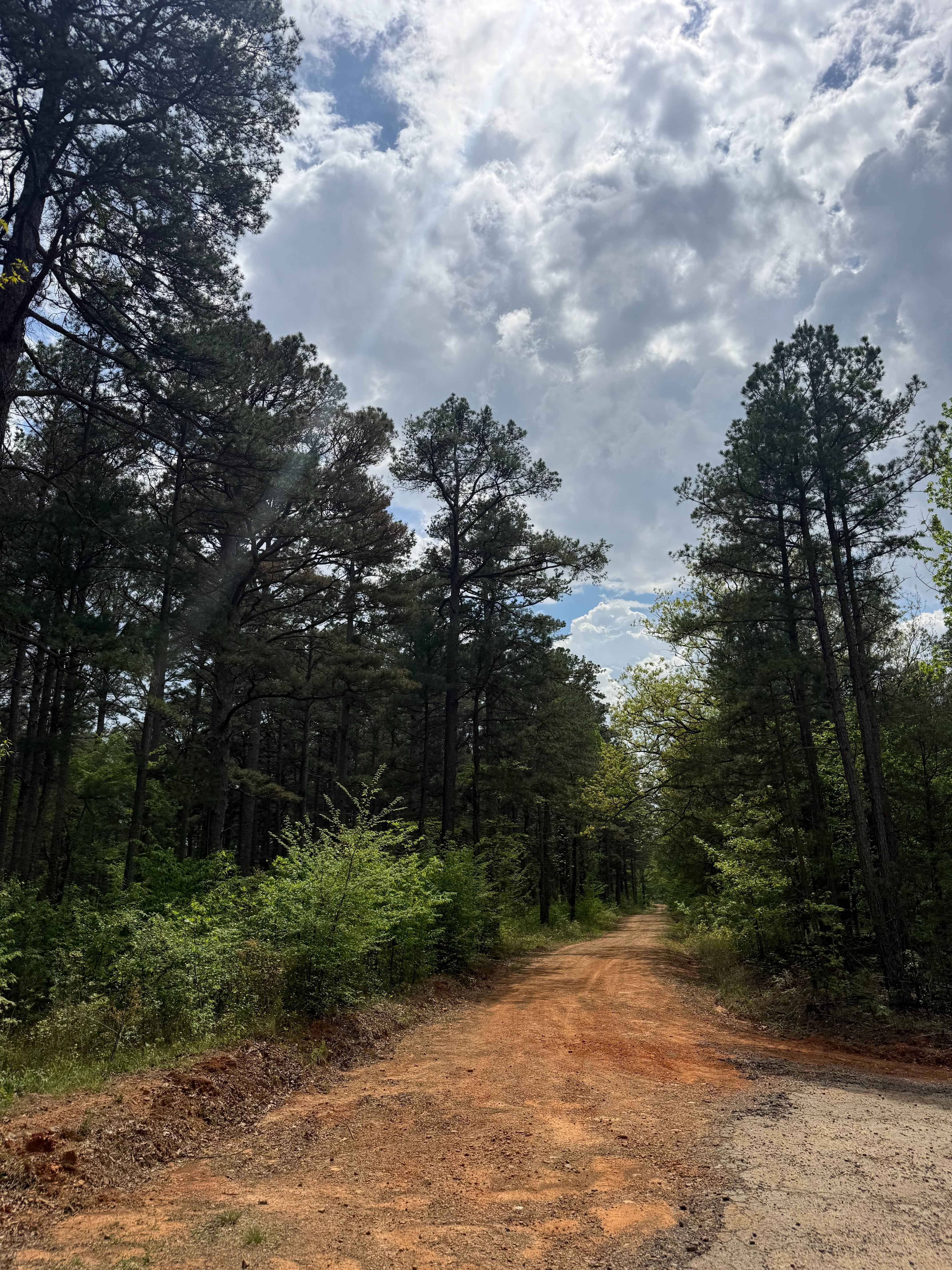Shores Lake Dam Loop
