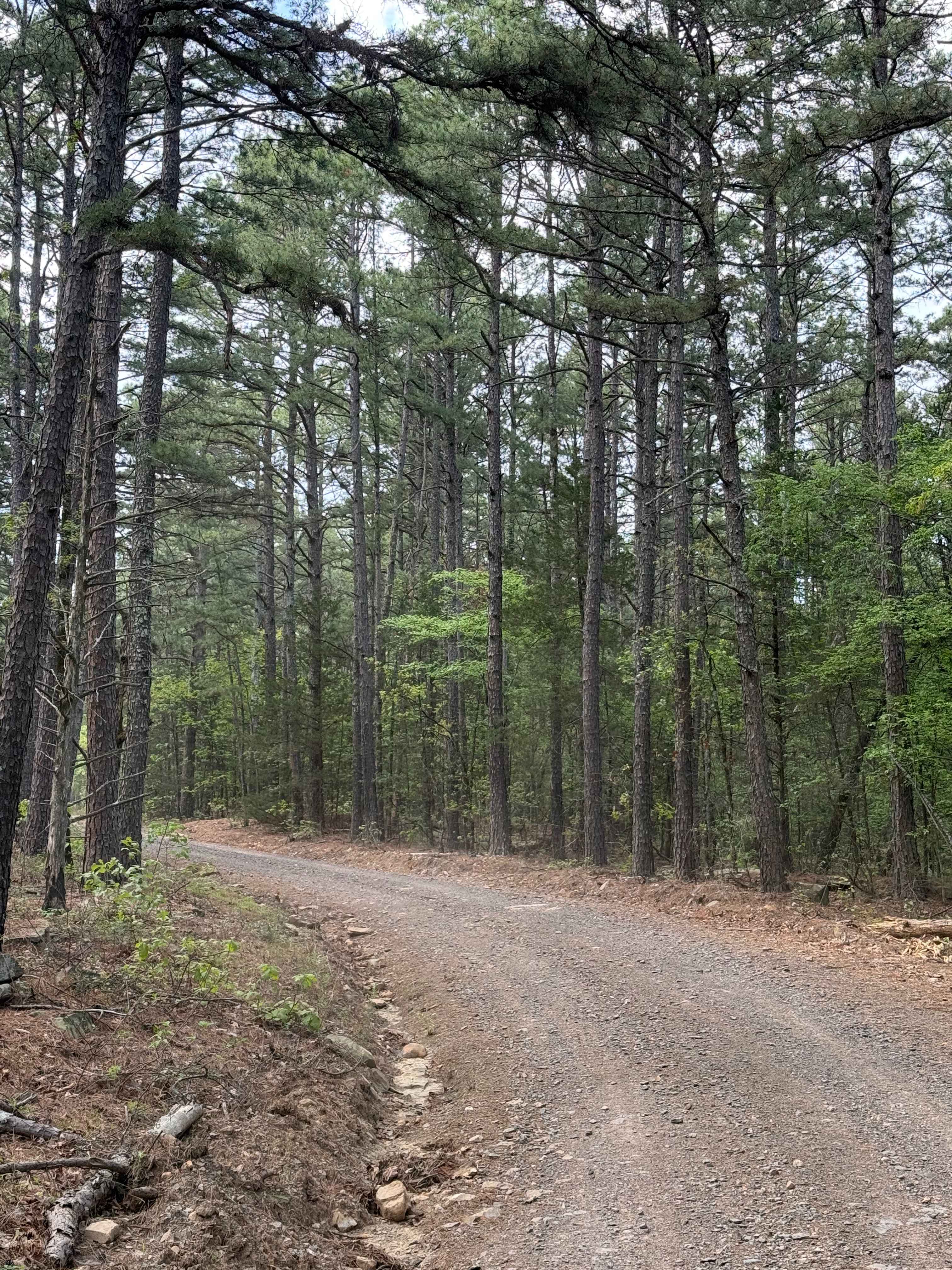 Piney War Trail