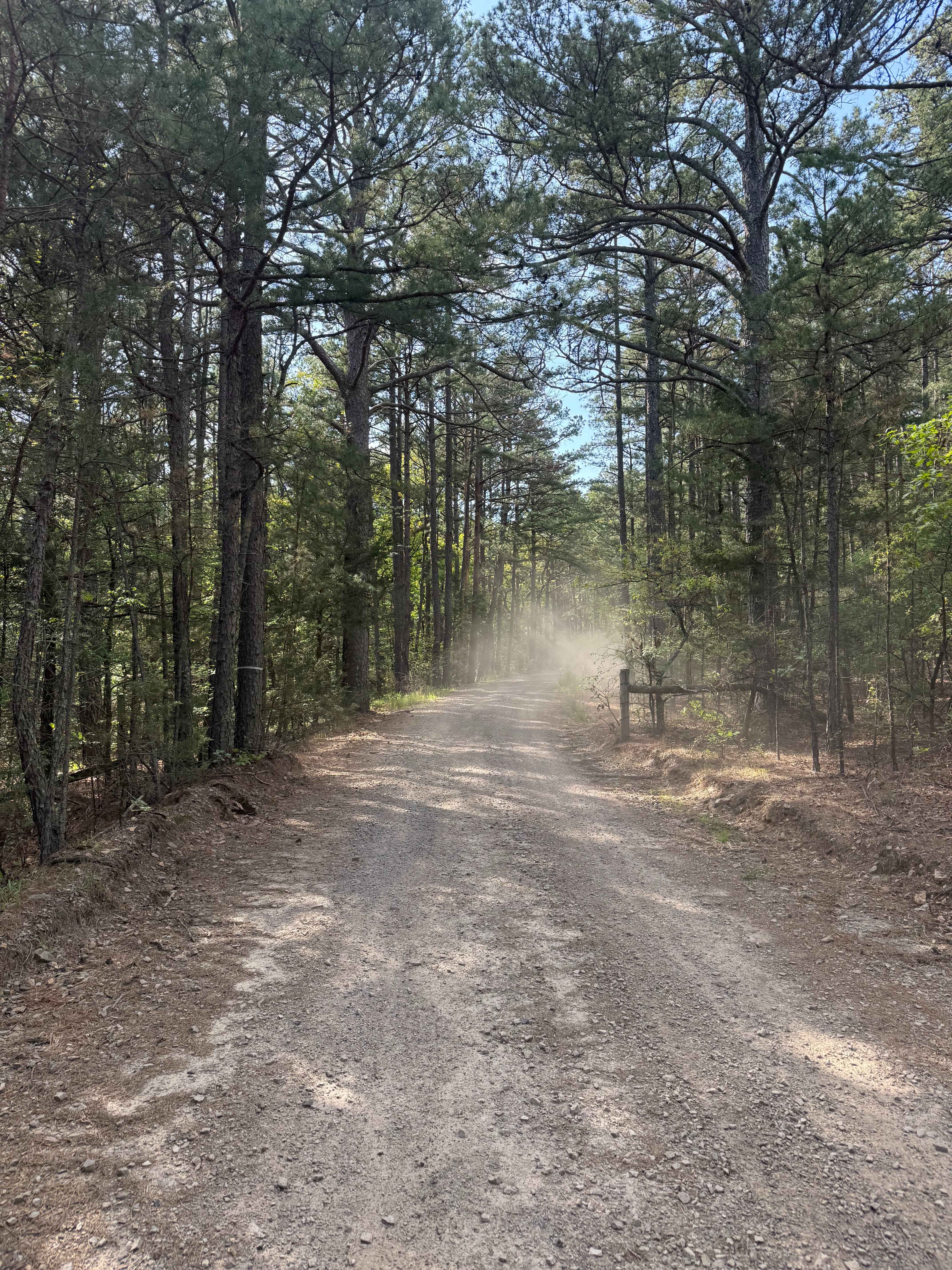Piney War Trail