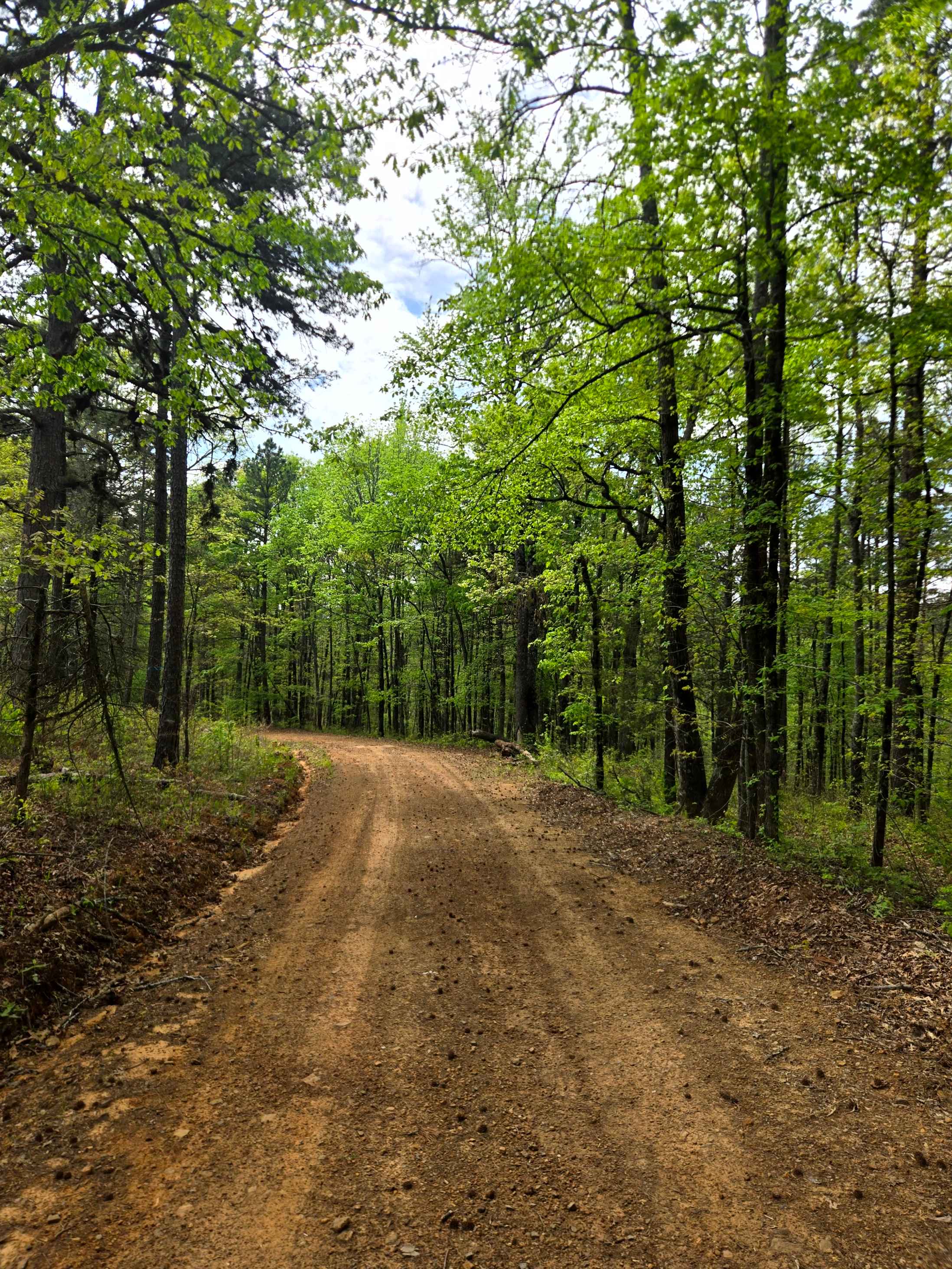 Graham Road