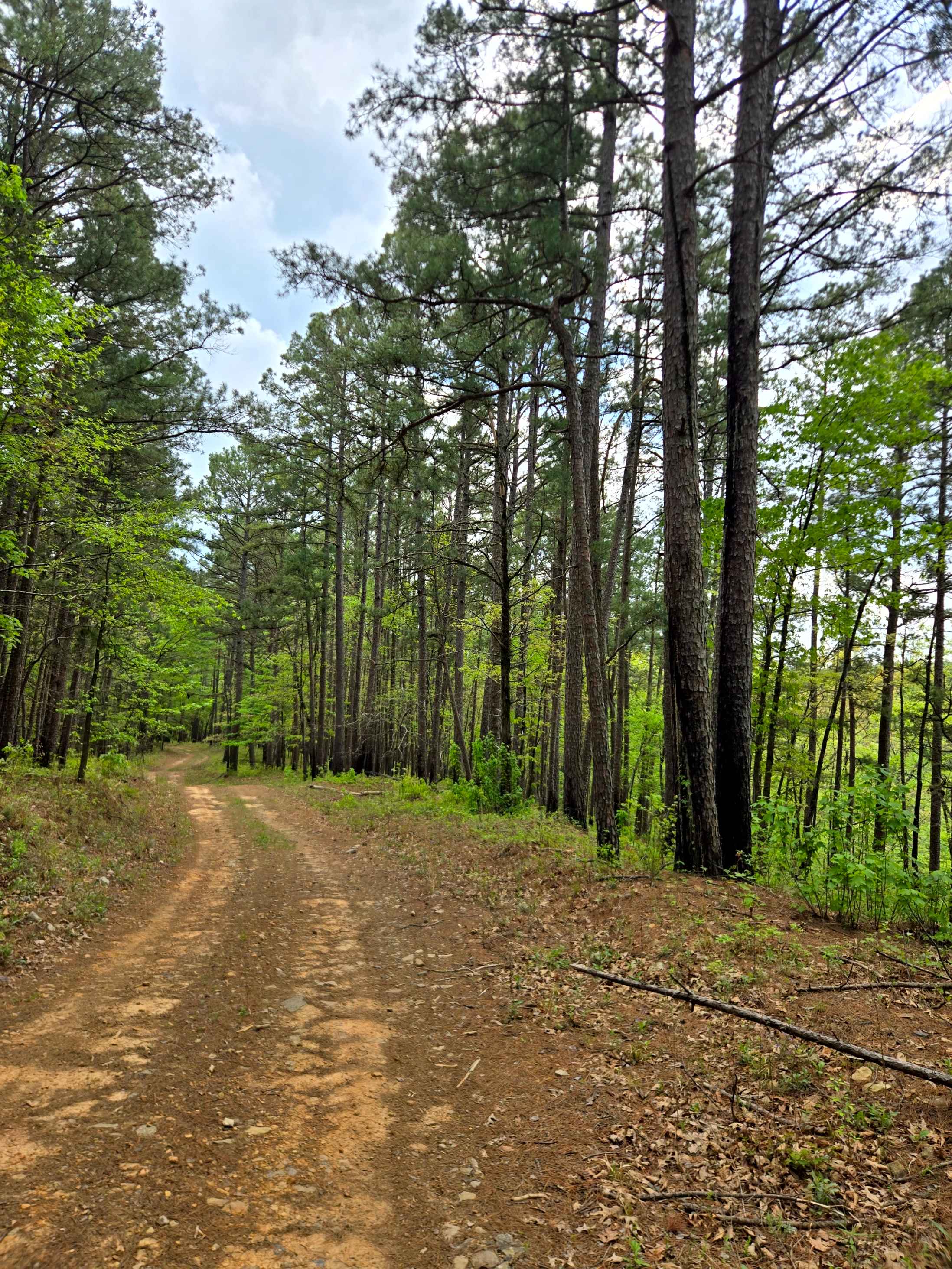 Jackson Ridge