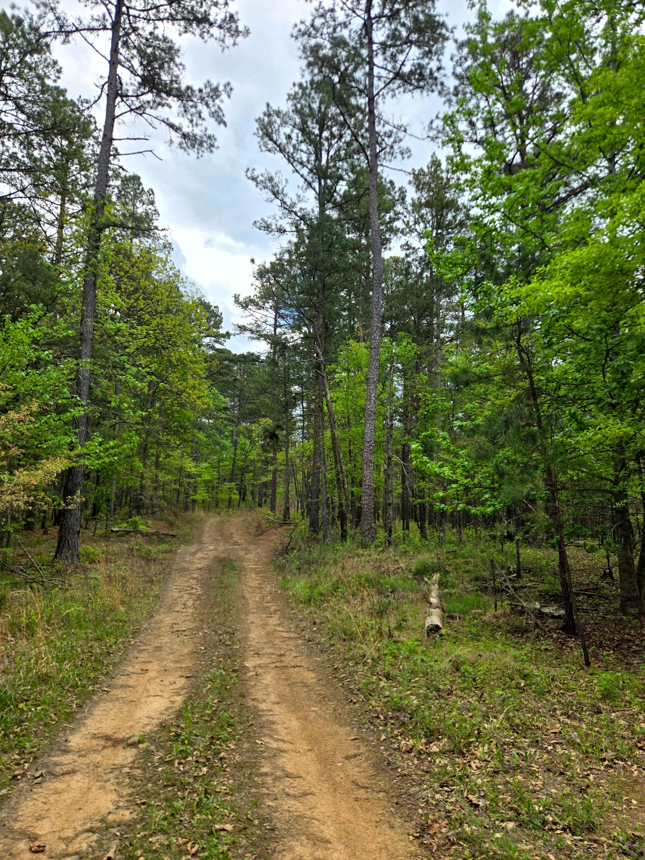 Jackson Ridge