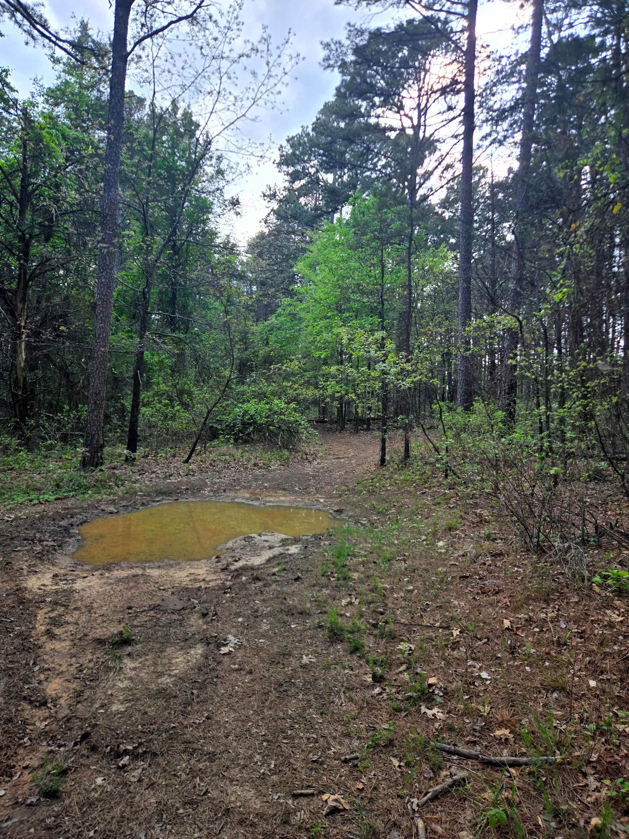 River Ridge