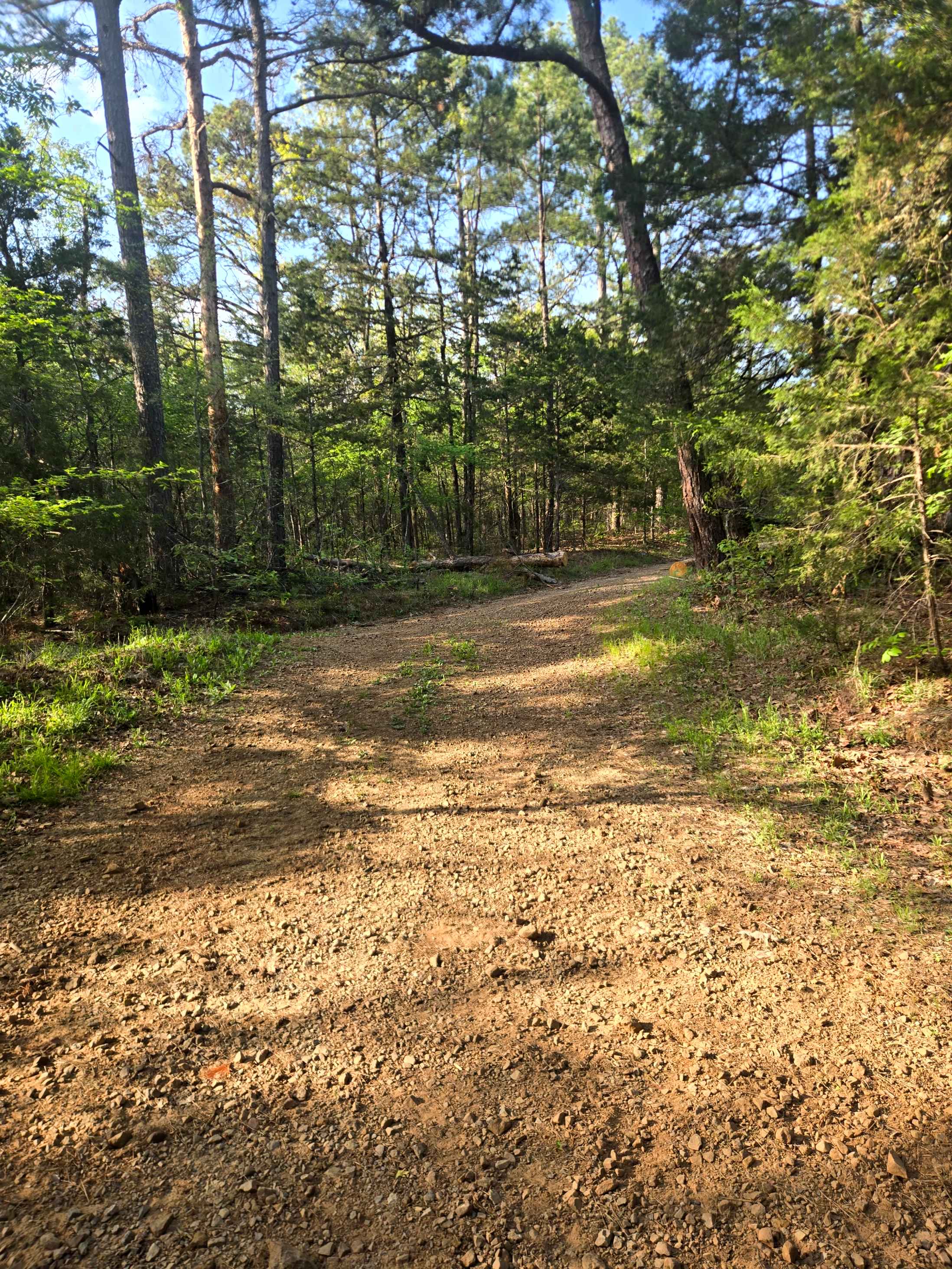 Ford Ridge