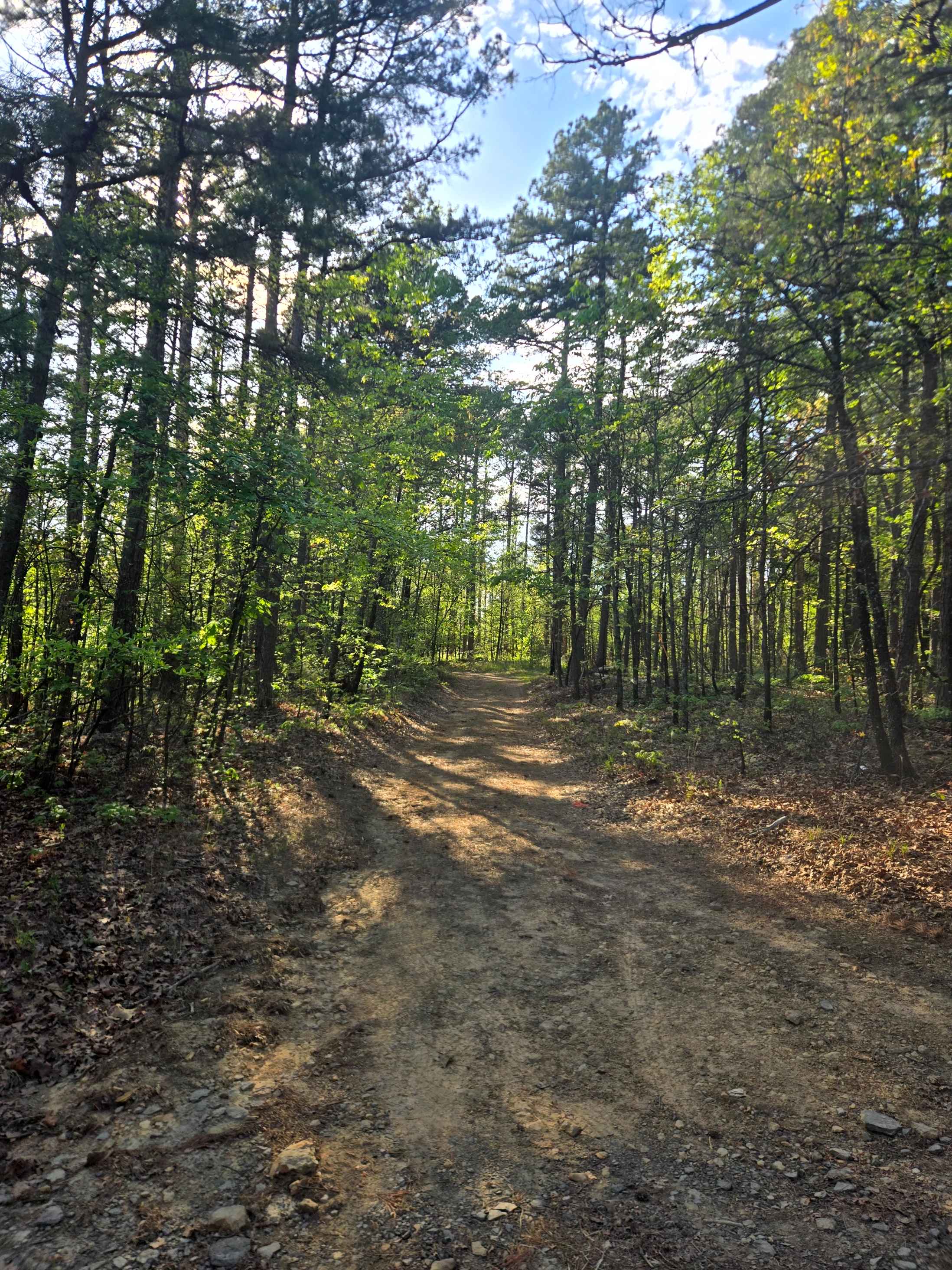 Ford Ridge