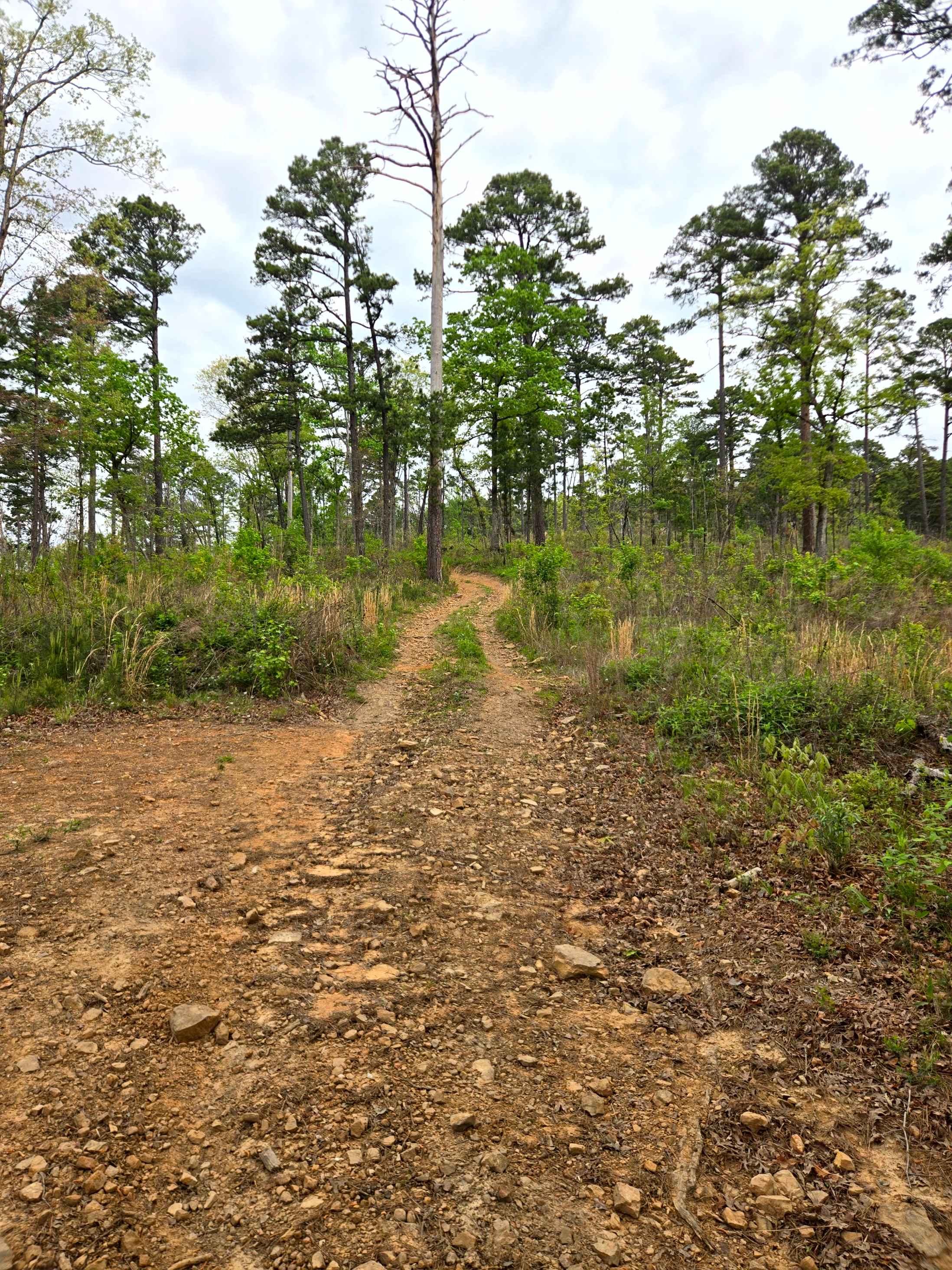 Upper Campbell