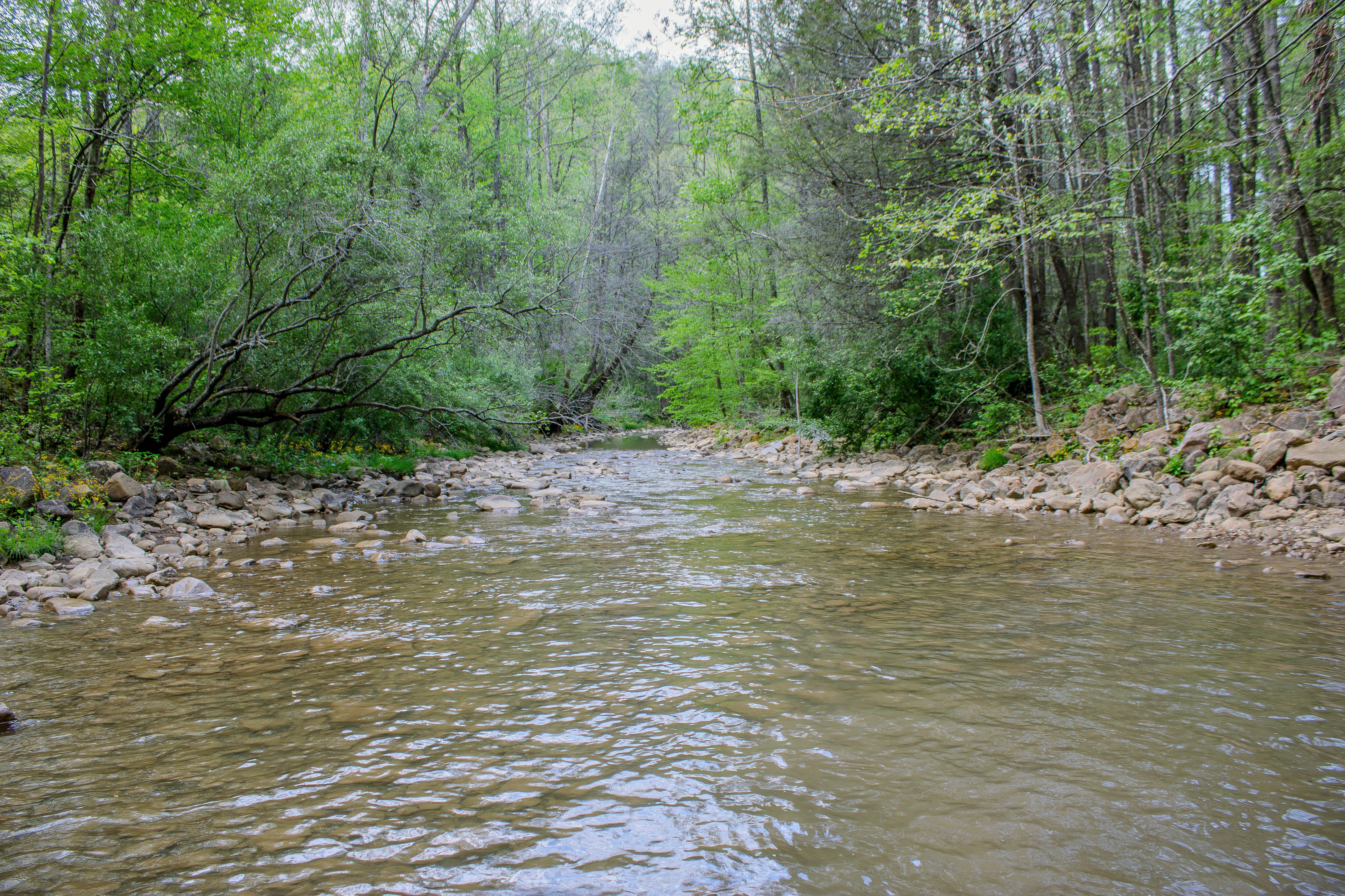 Patterson Road