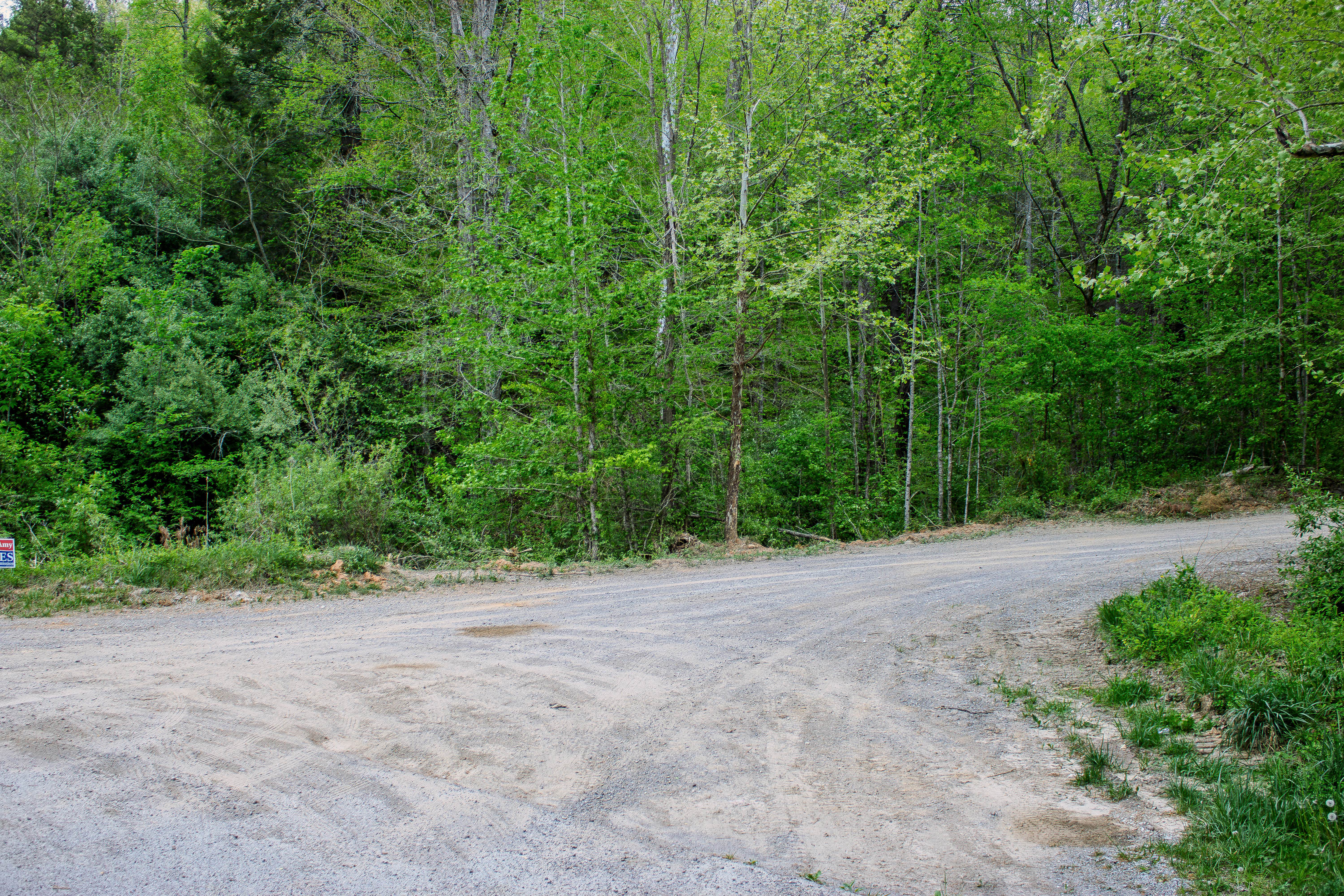 Red Oak Mountain Road
