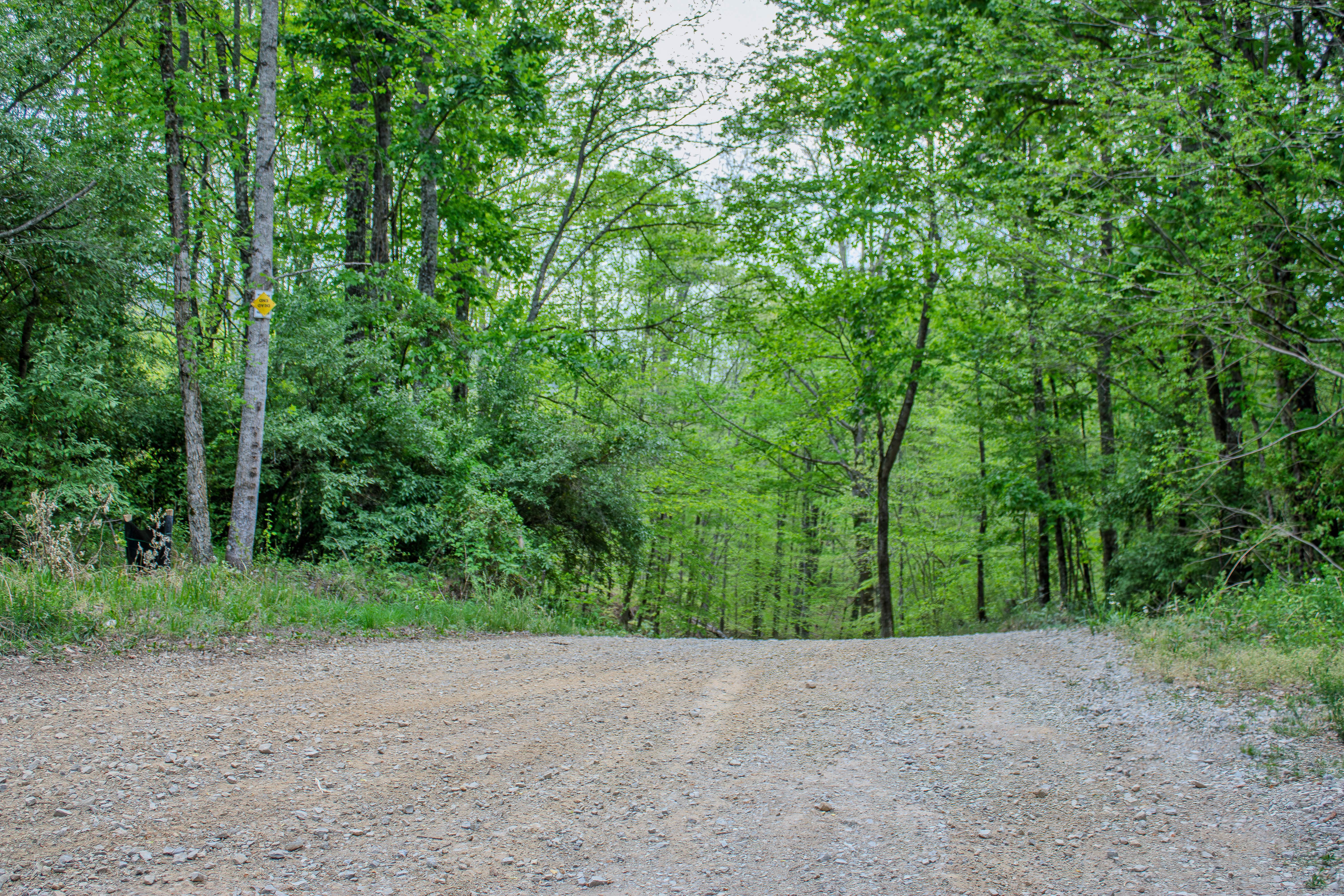 Phillips Cemetery Road