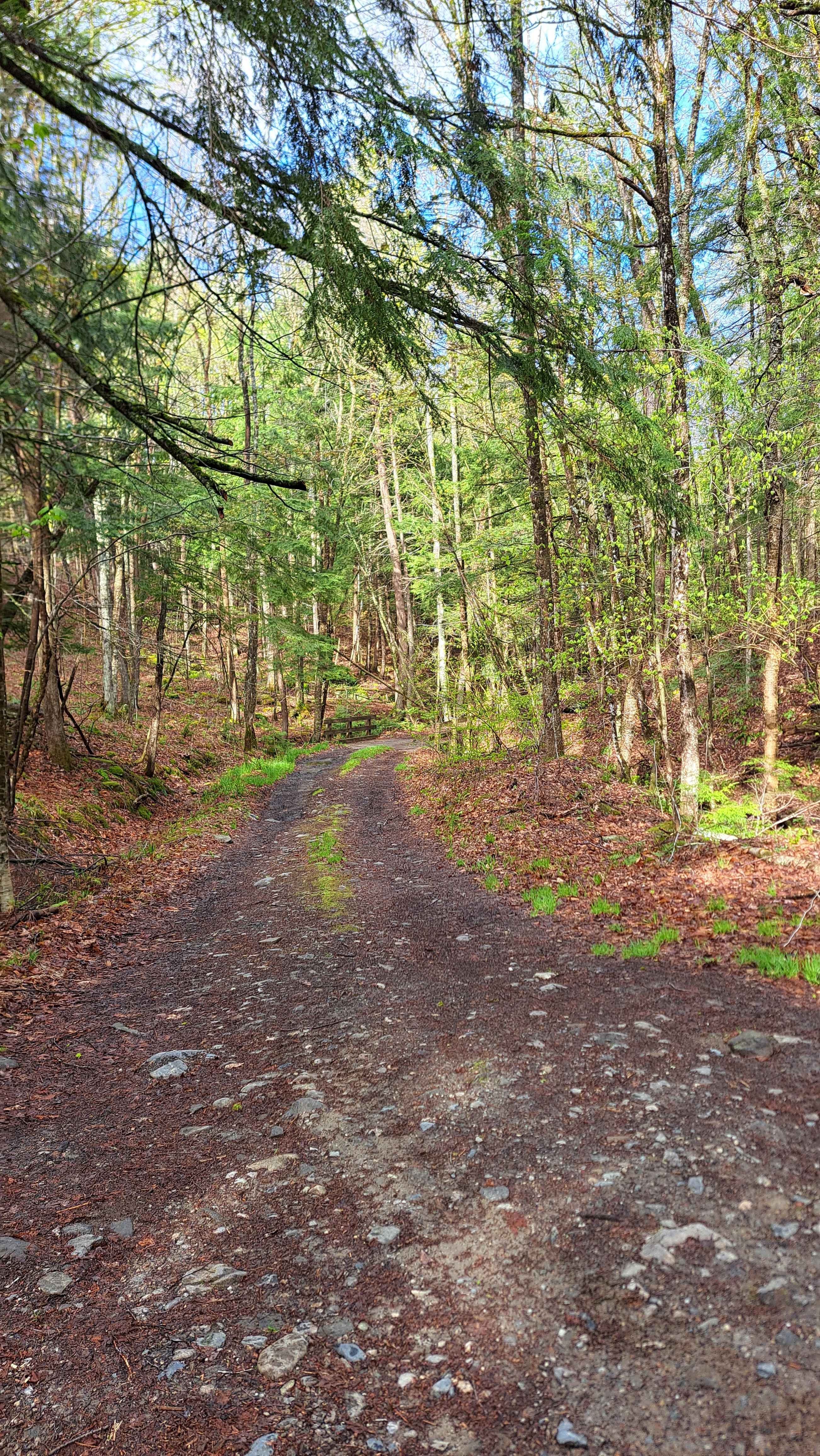 Burton Woods Road