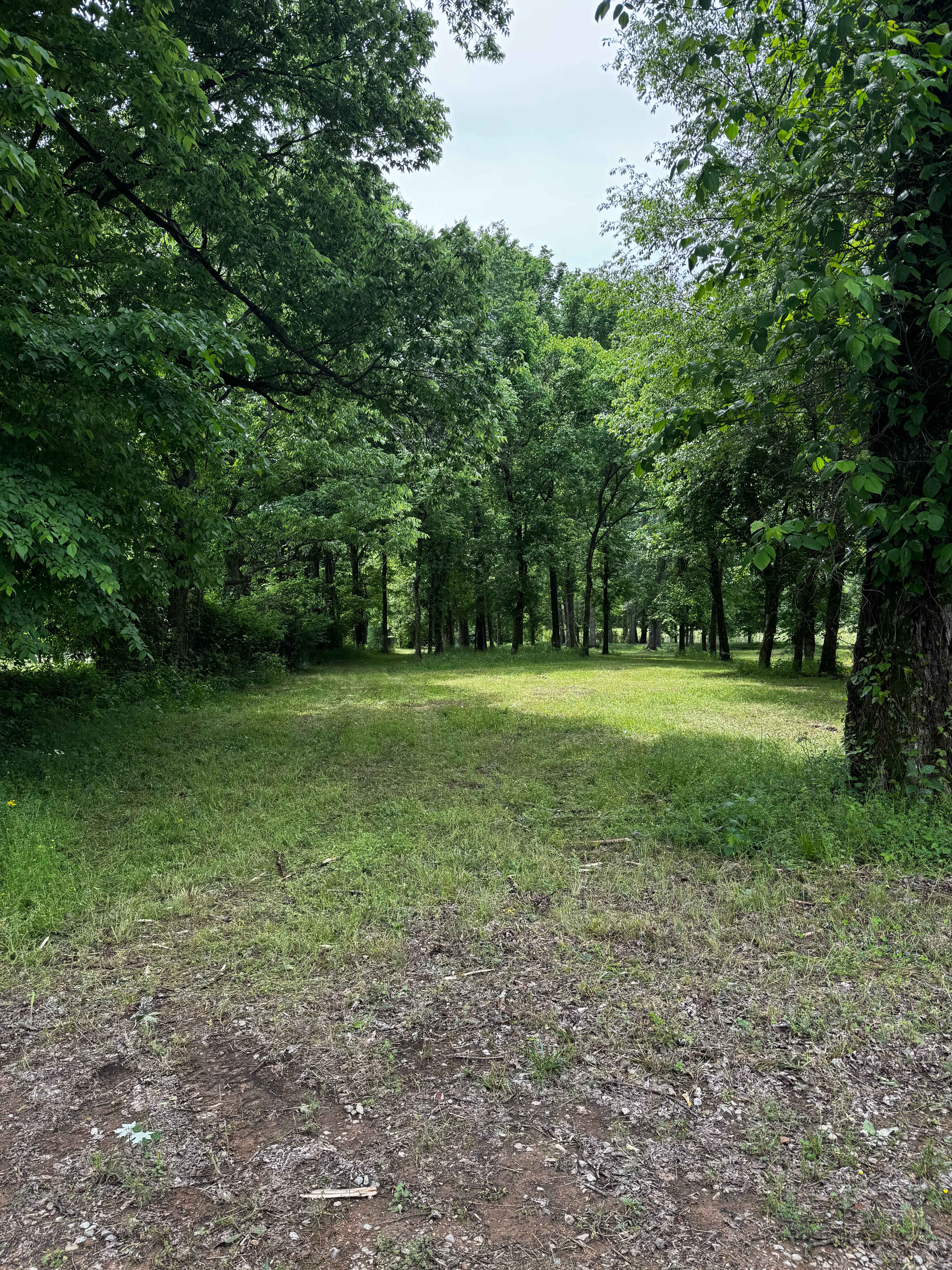 Primitive Camp Loop