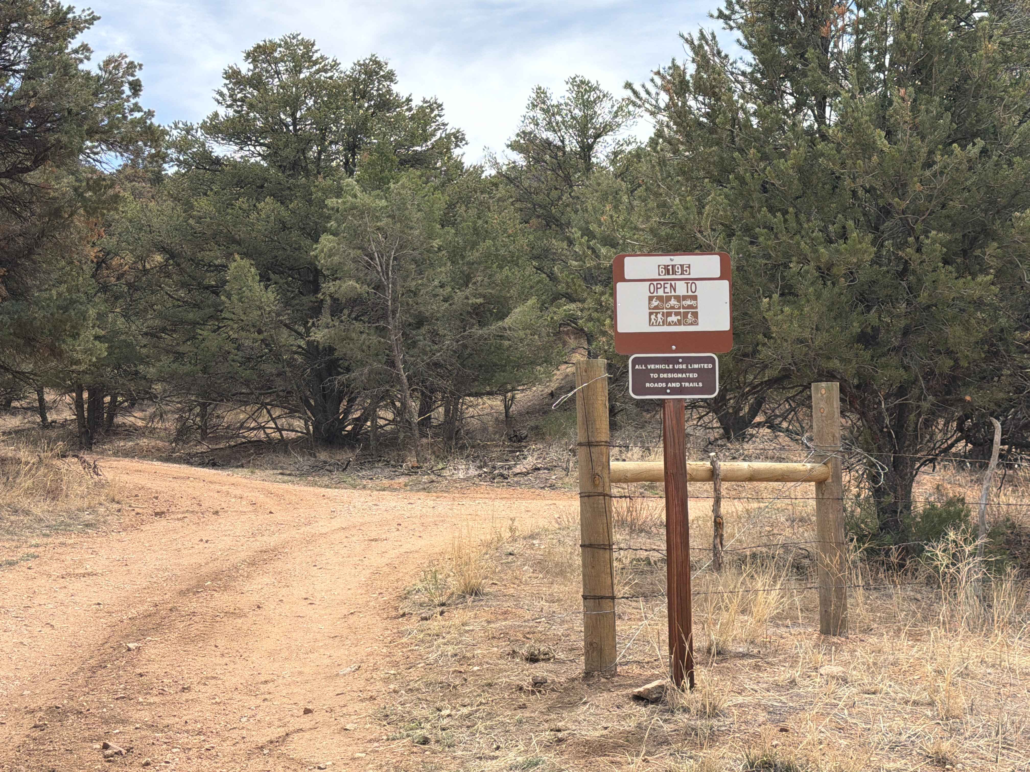 BLM 6195