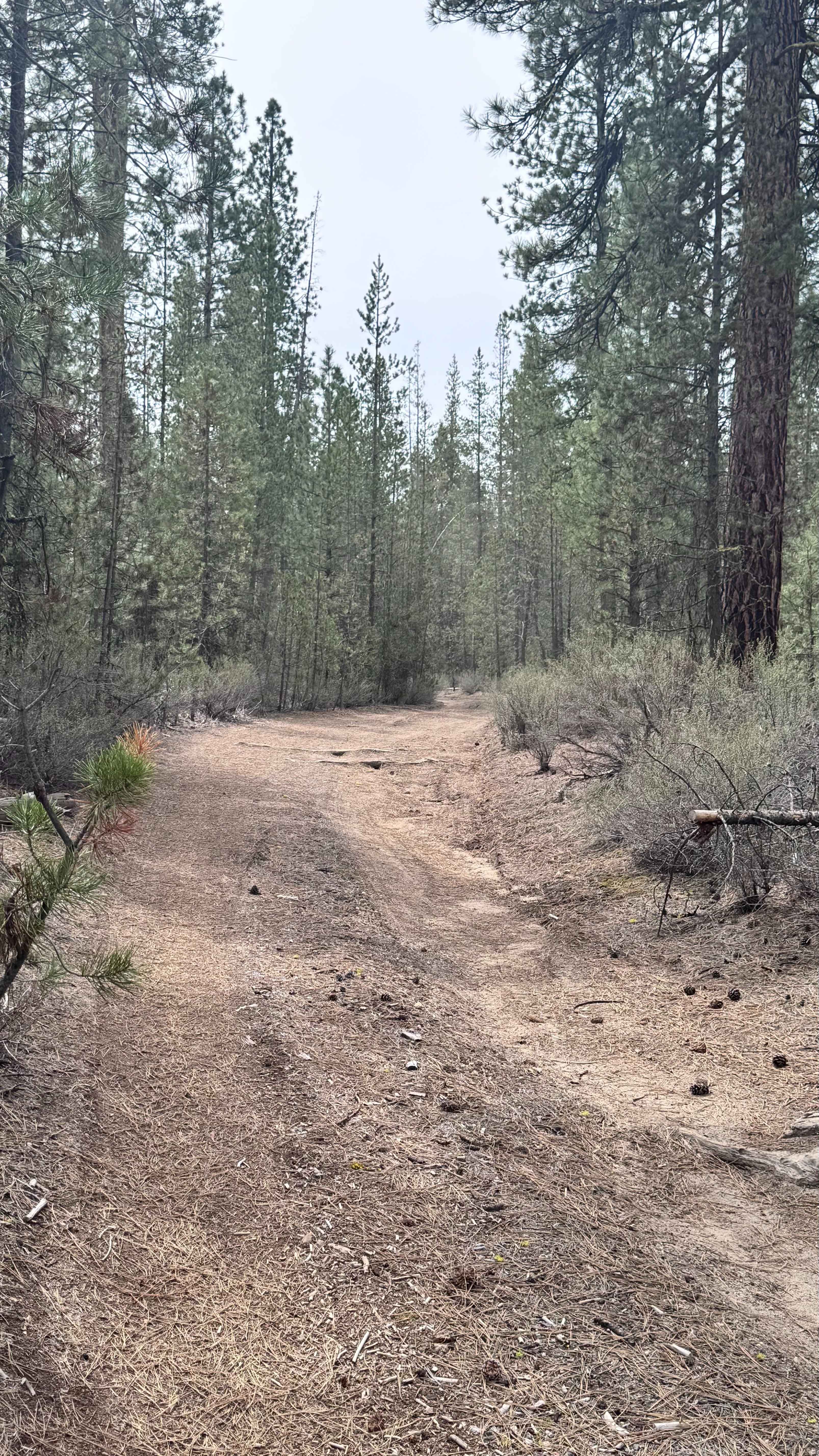 Wocus Bay Road