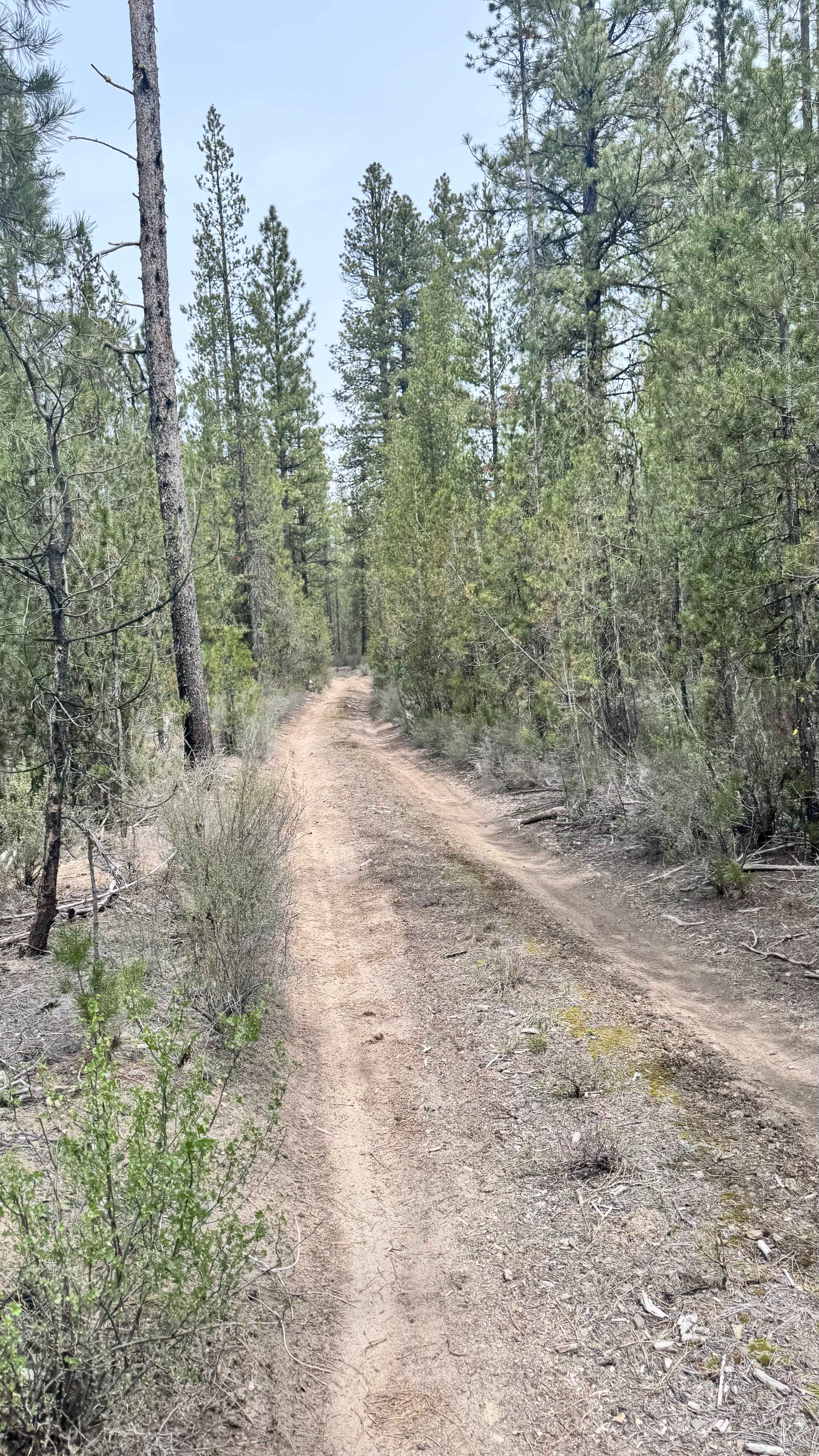 Wocus Bay Road