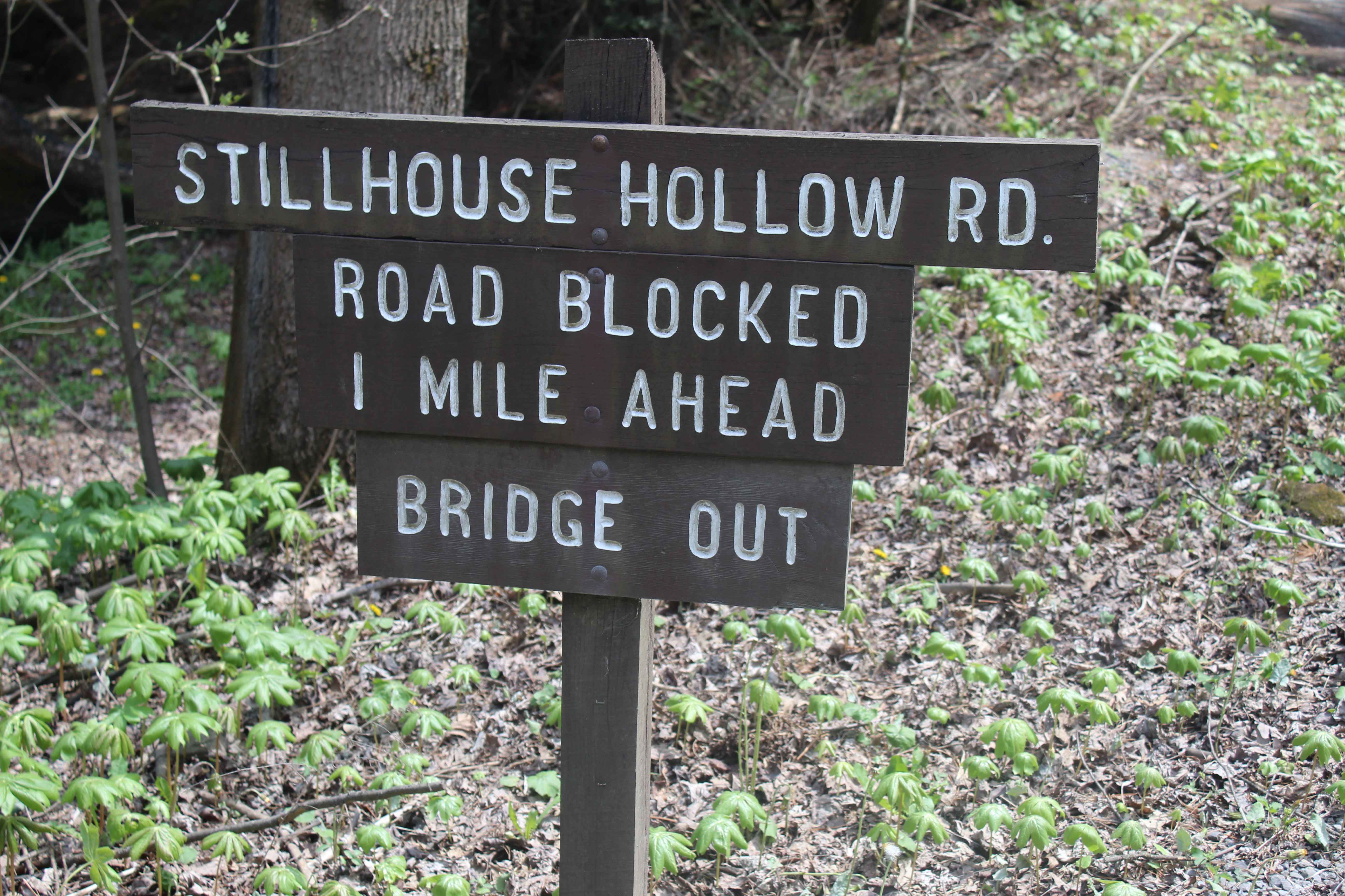 Stillhouse Hollow Trail