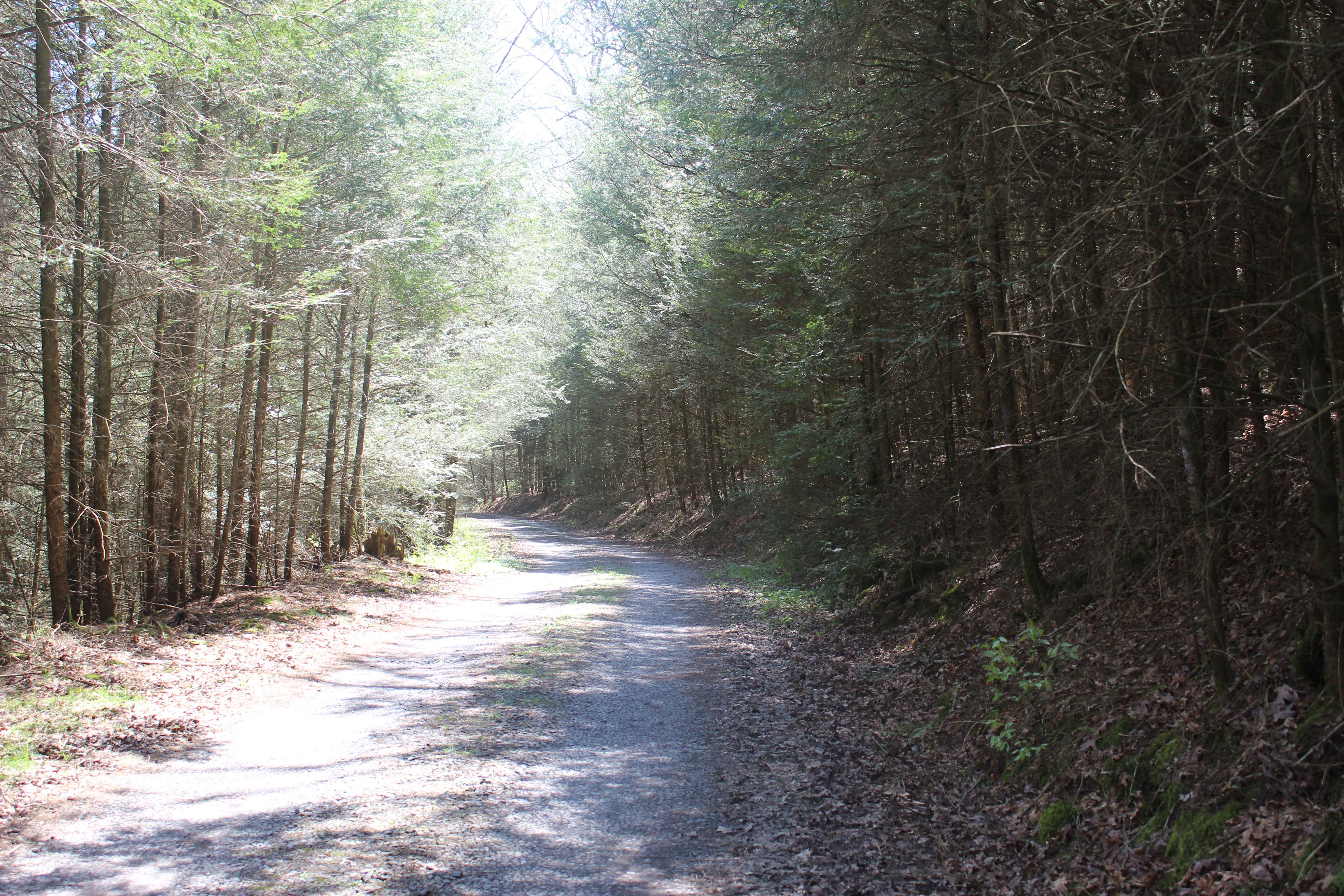 Stillhouse Hollow Trail