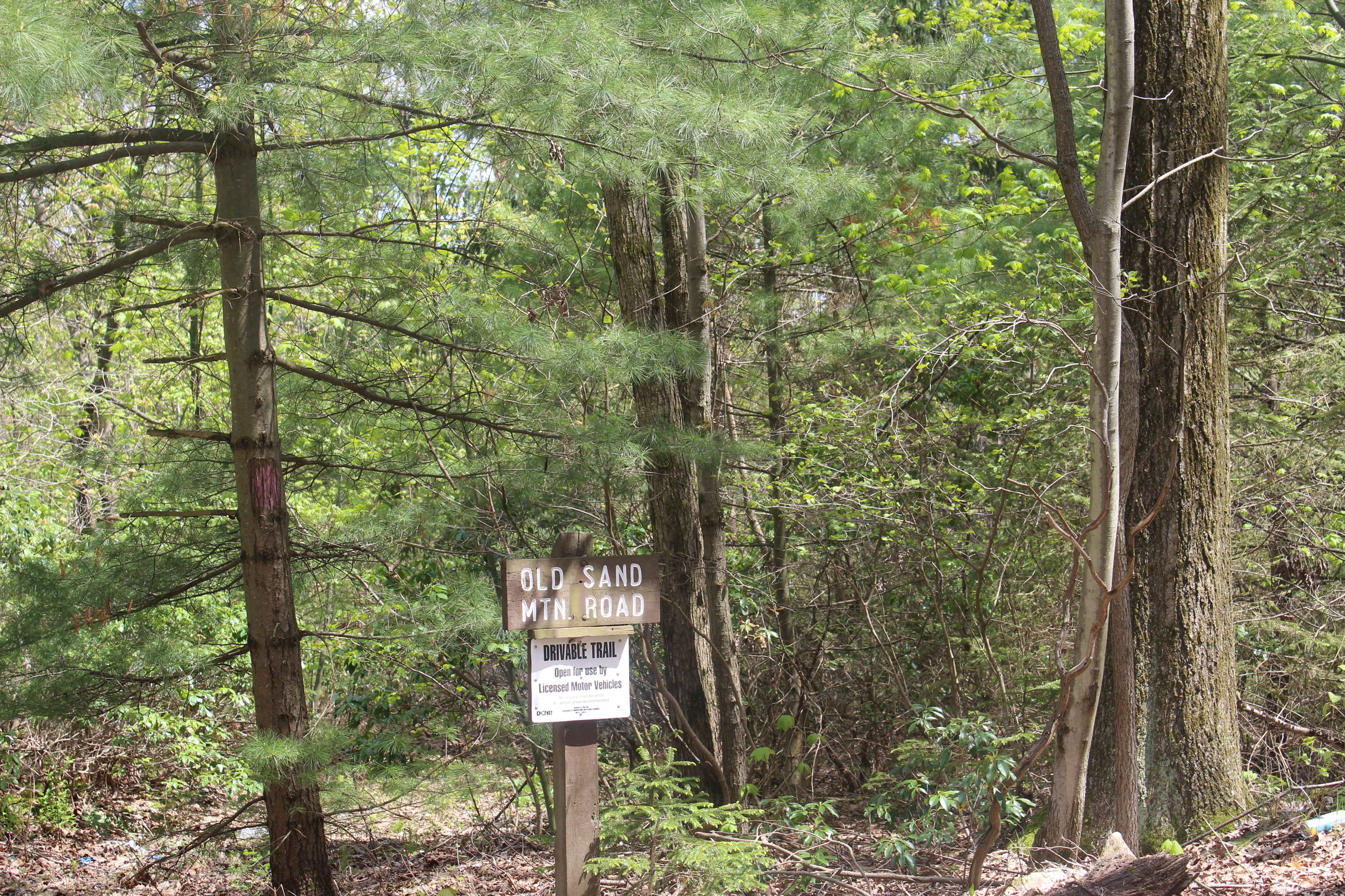 Old Sand Mountain Road