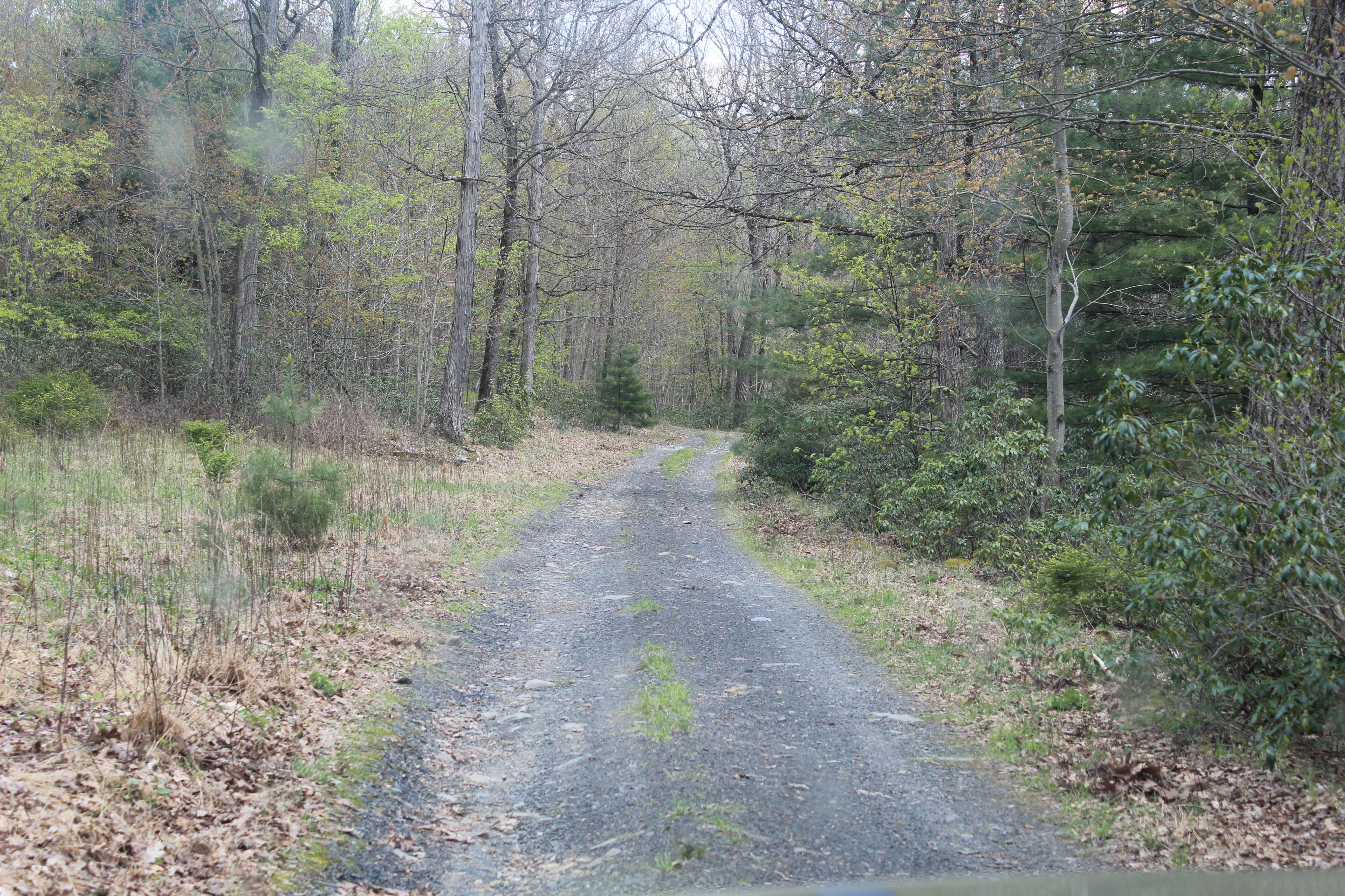 Old Sand Mountain Road
