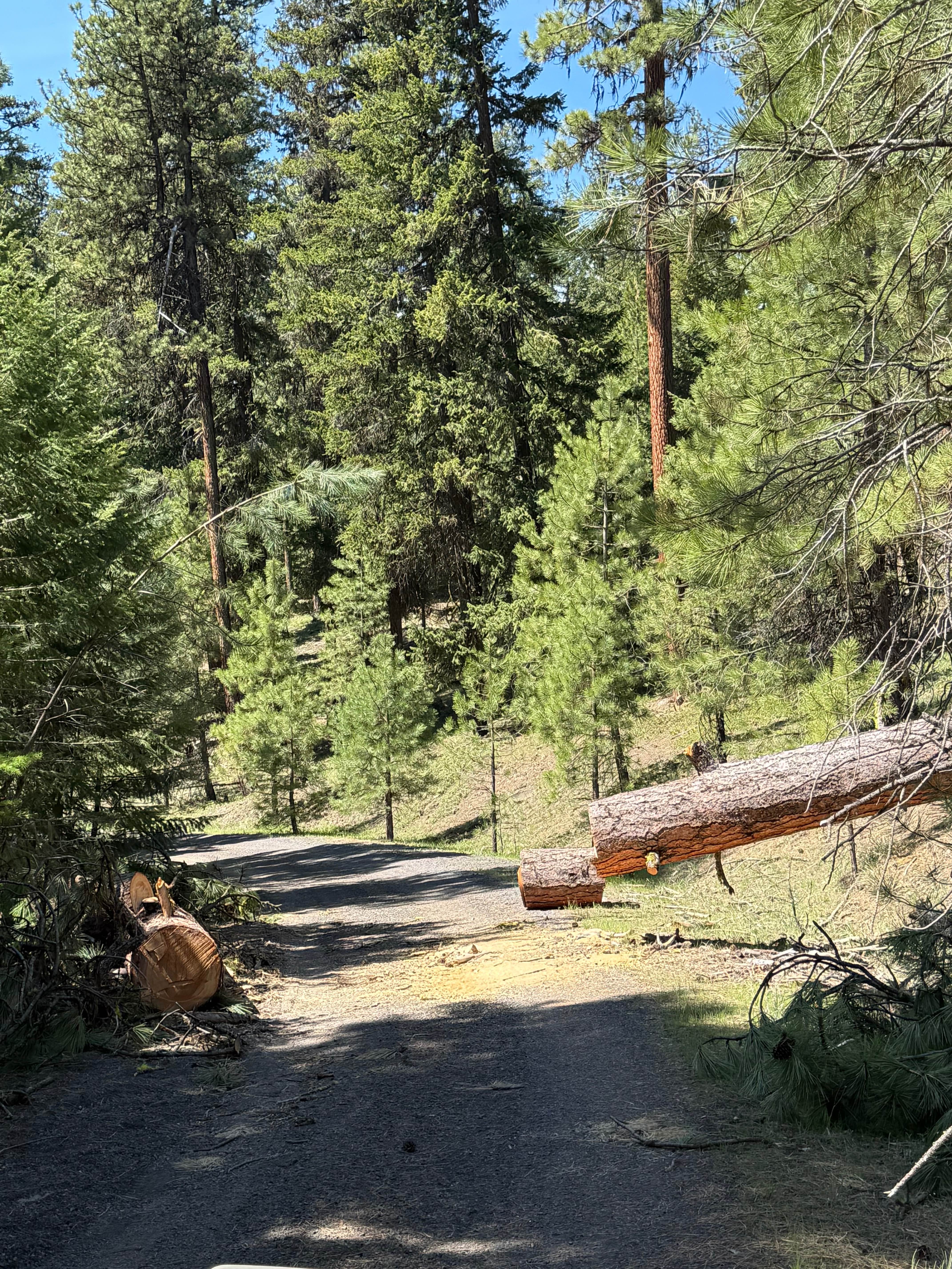 Pine Creek Road