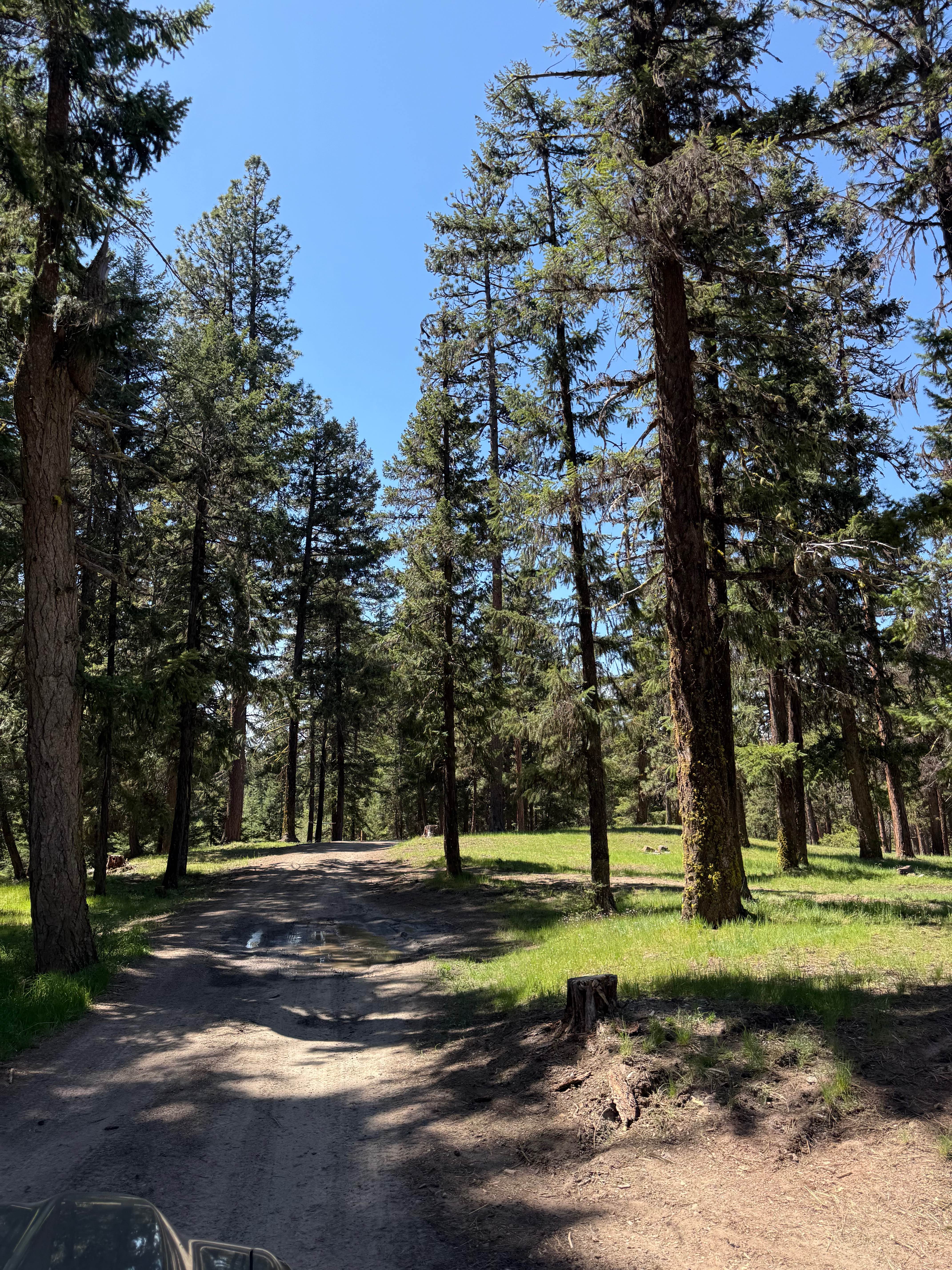 Pine Creek Road
