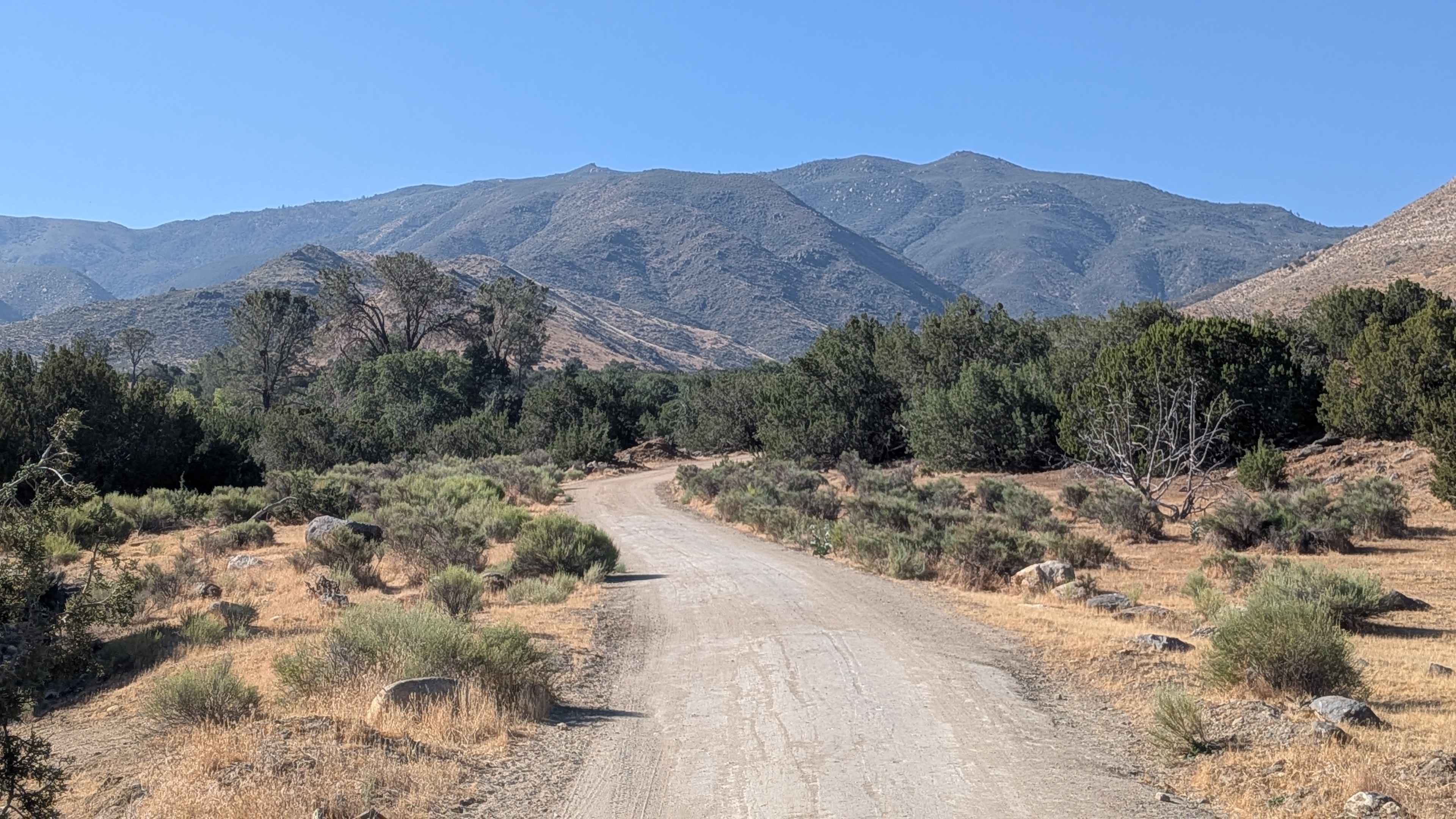 Juniper Flat