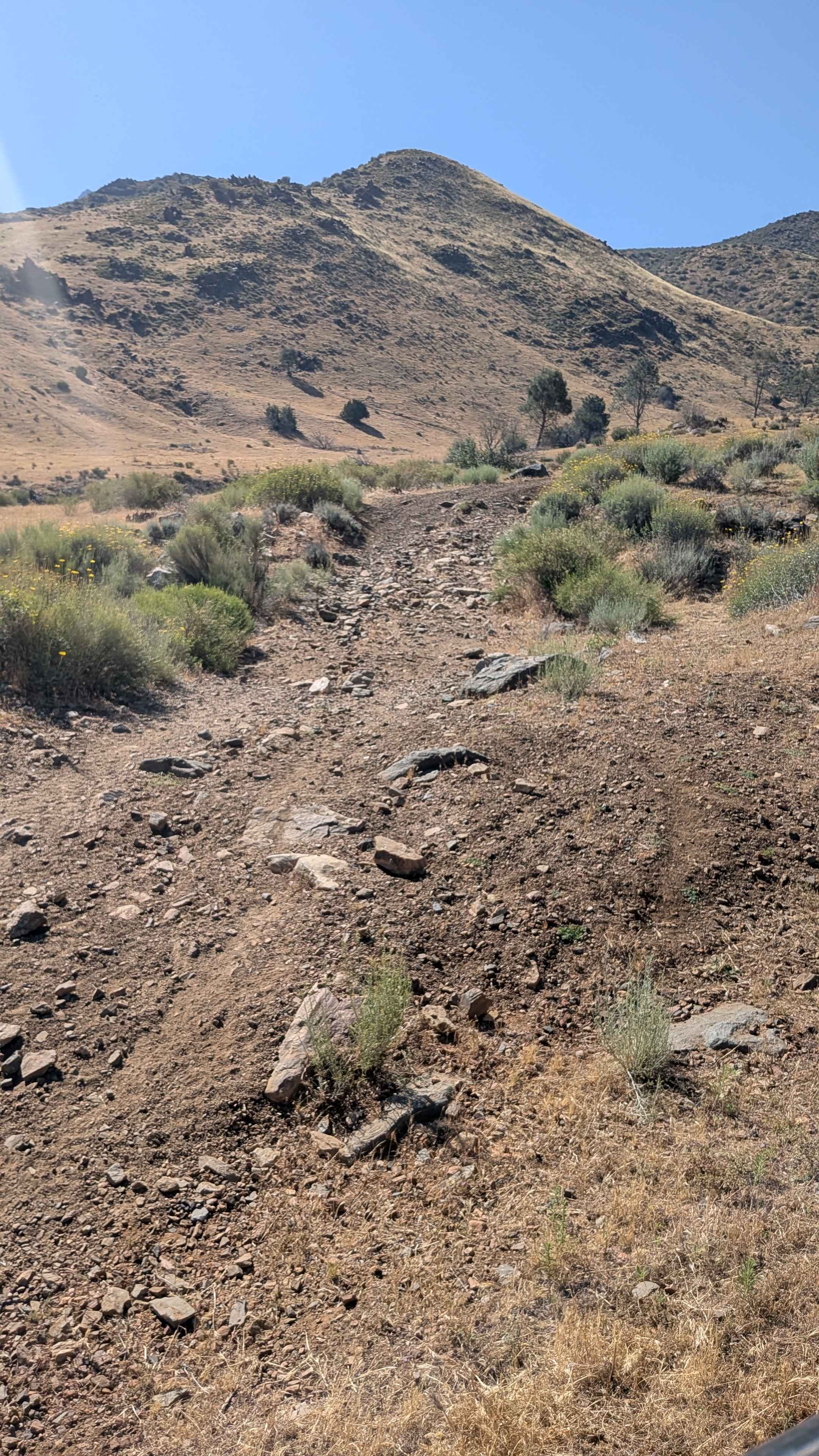 Little Dry Meadow