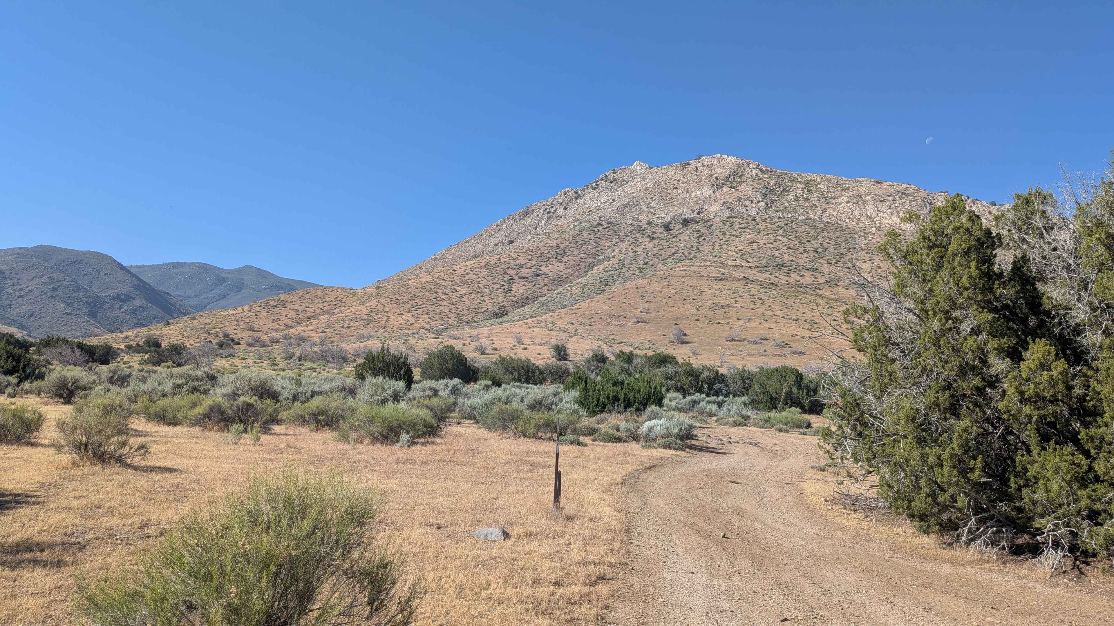 Little Dry Meadow