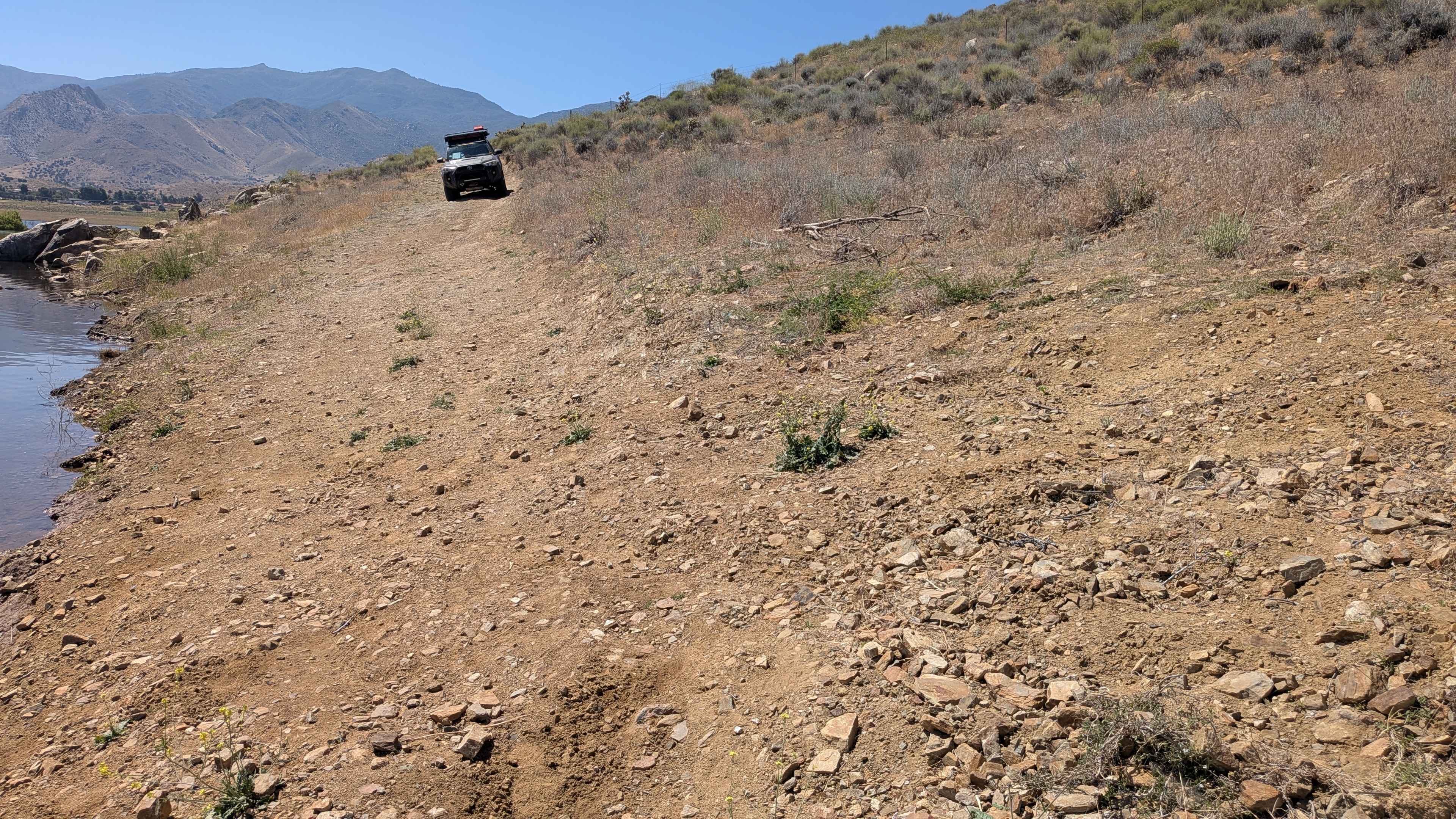 Rattlesnake - FS 26S34B