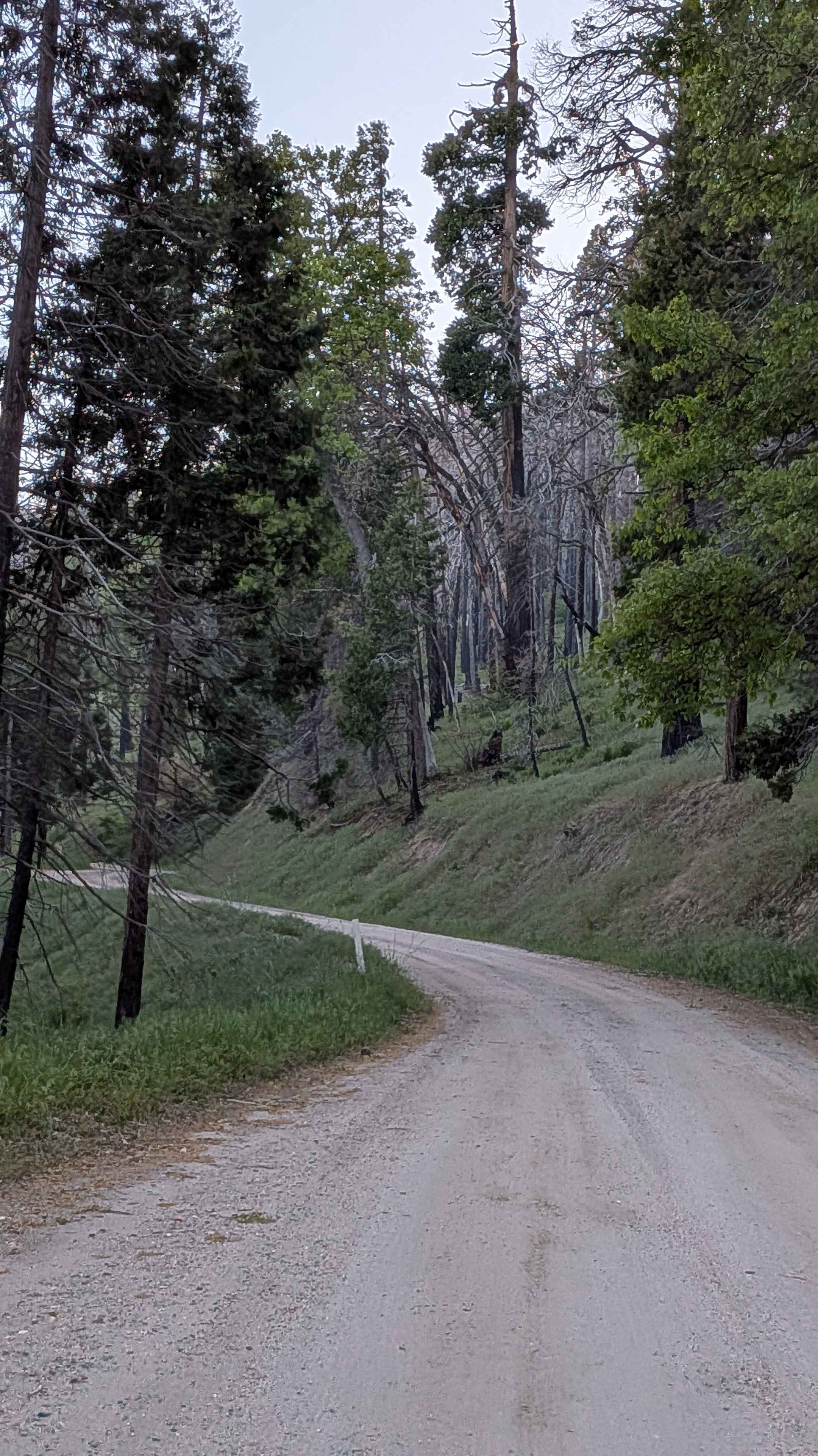 Rancheria Road North - FS 25S15