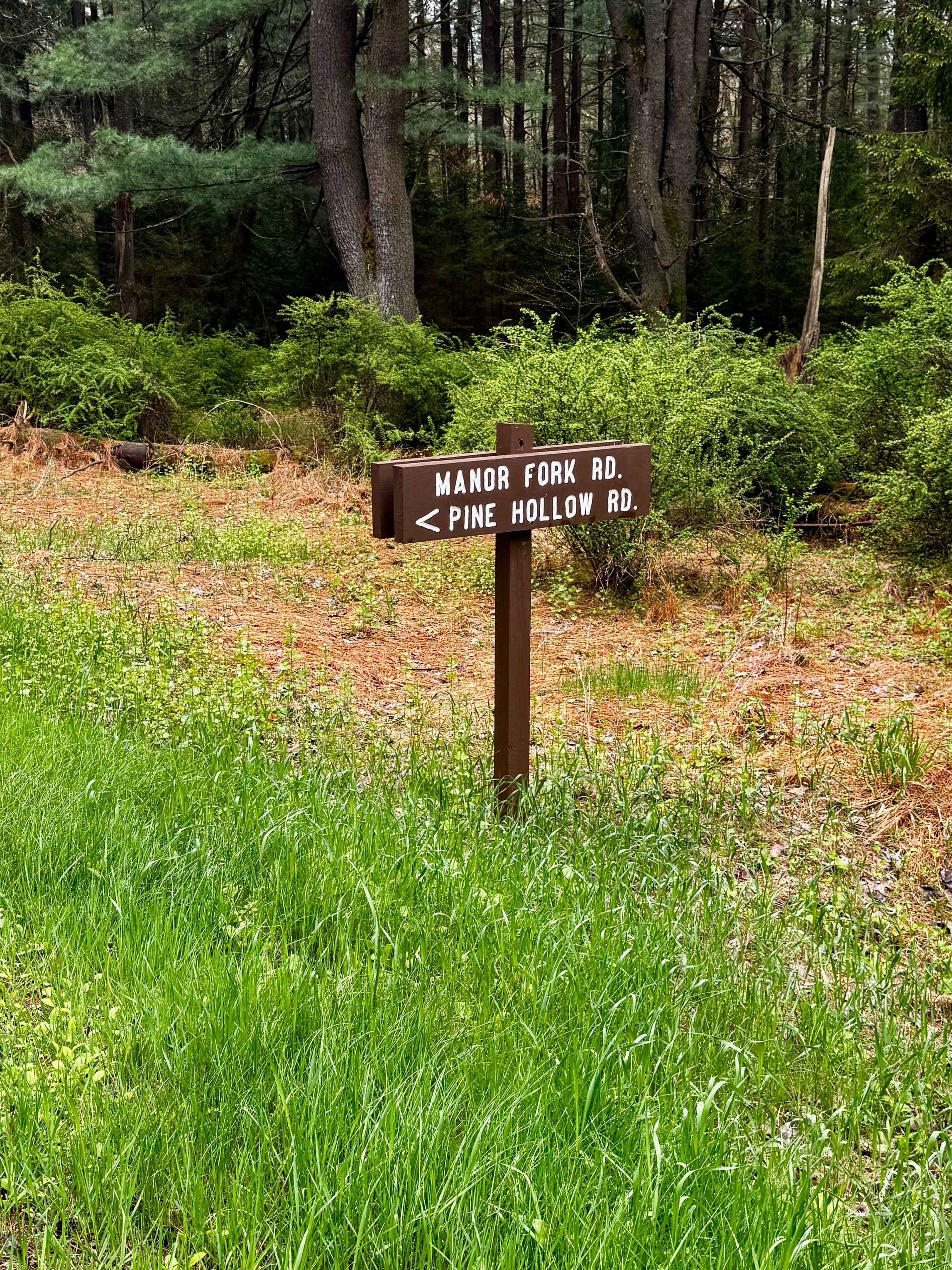 Manor Fork Road