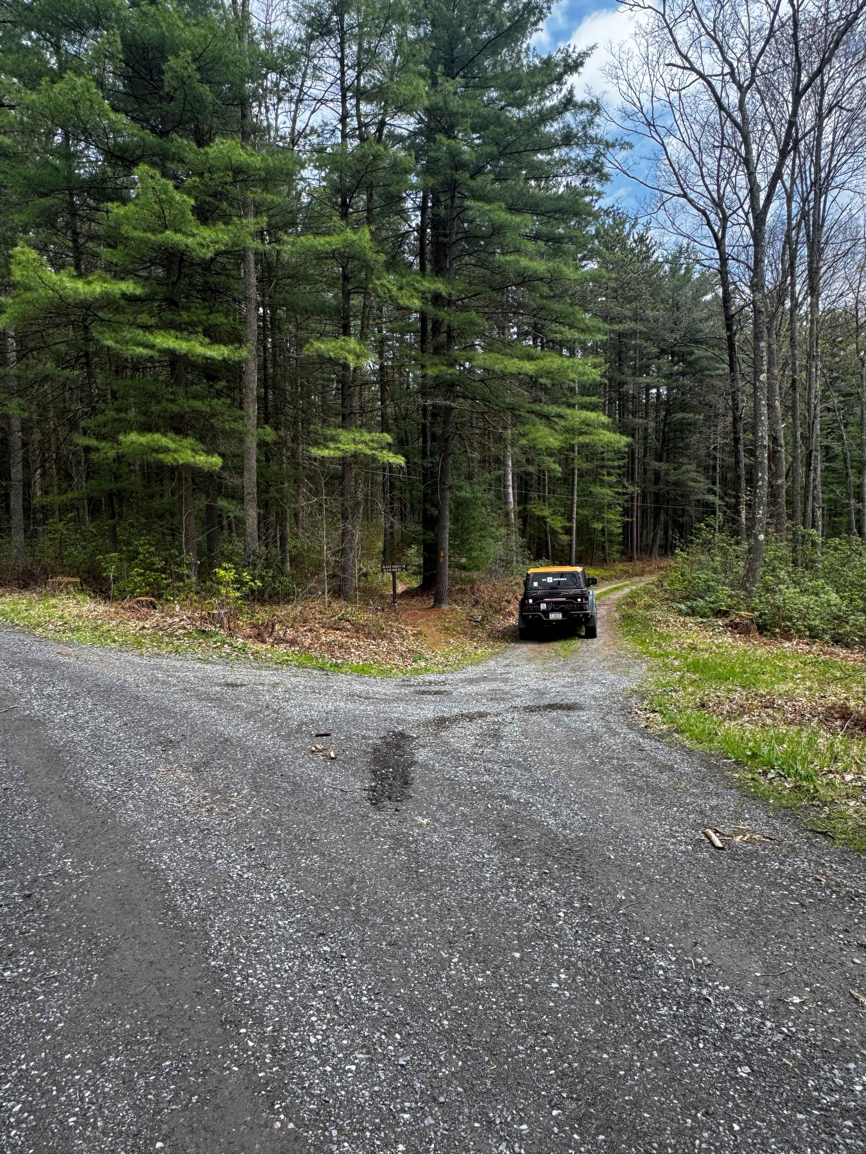 Pine Hollow Road