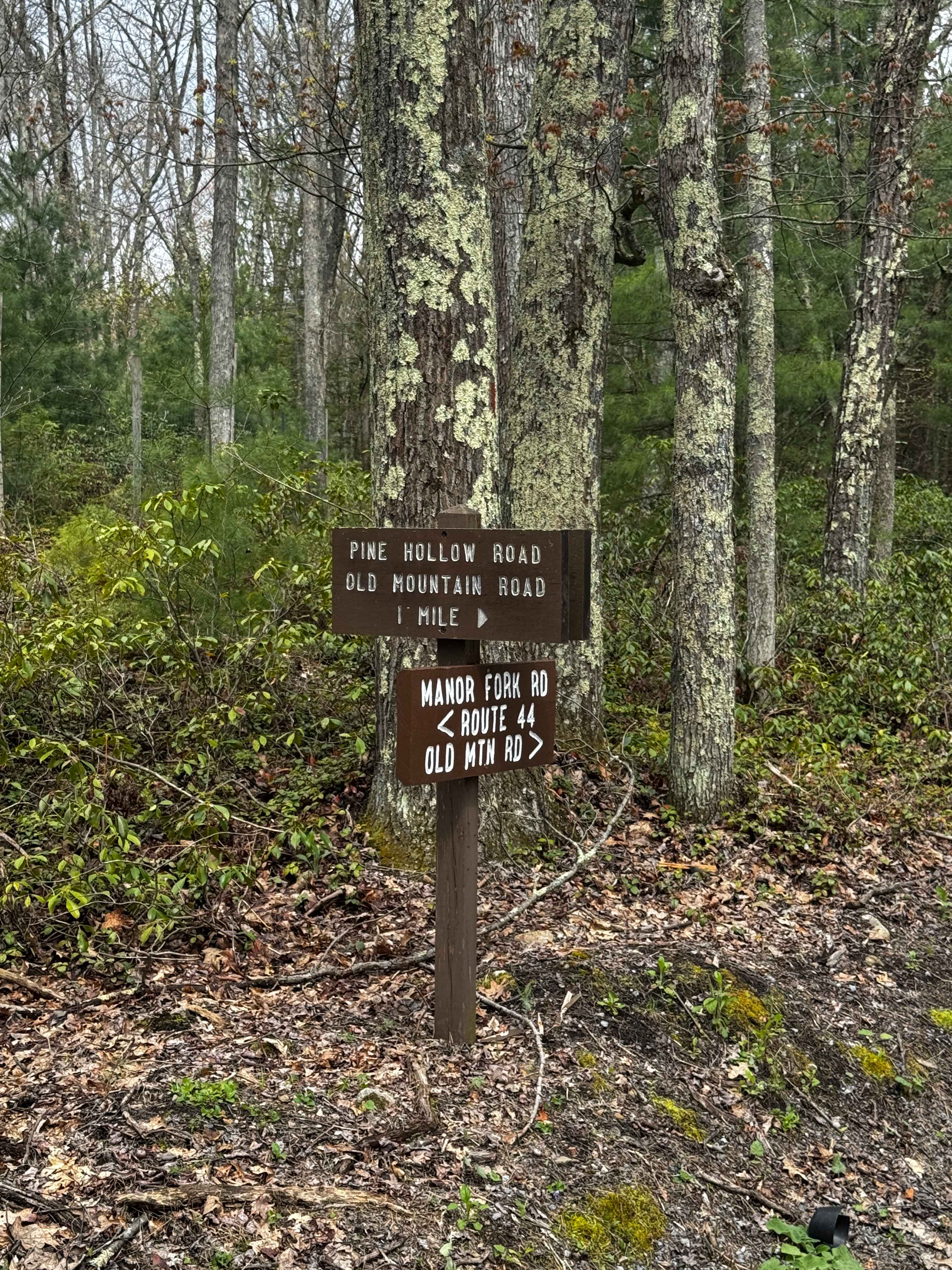 Pine Hollow Road