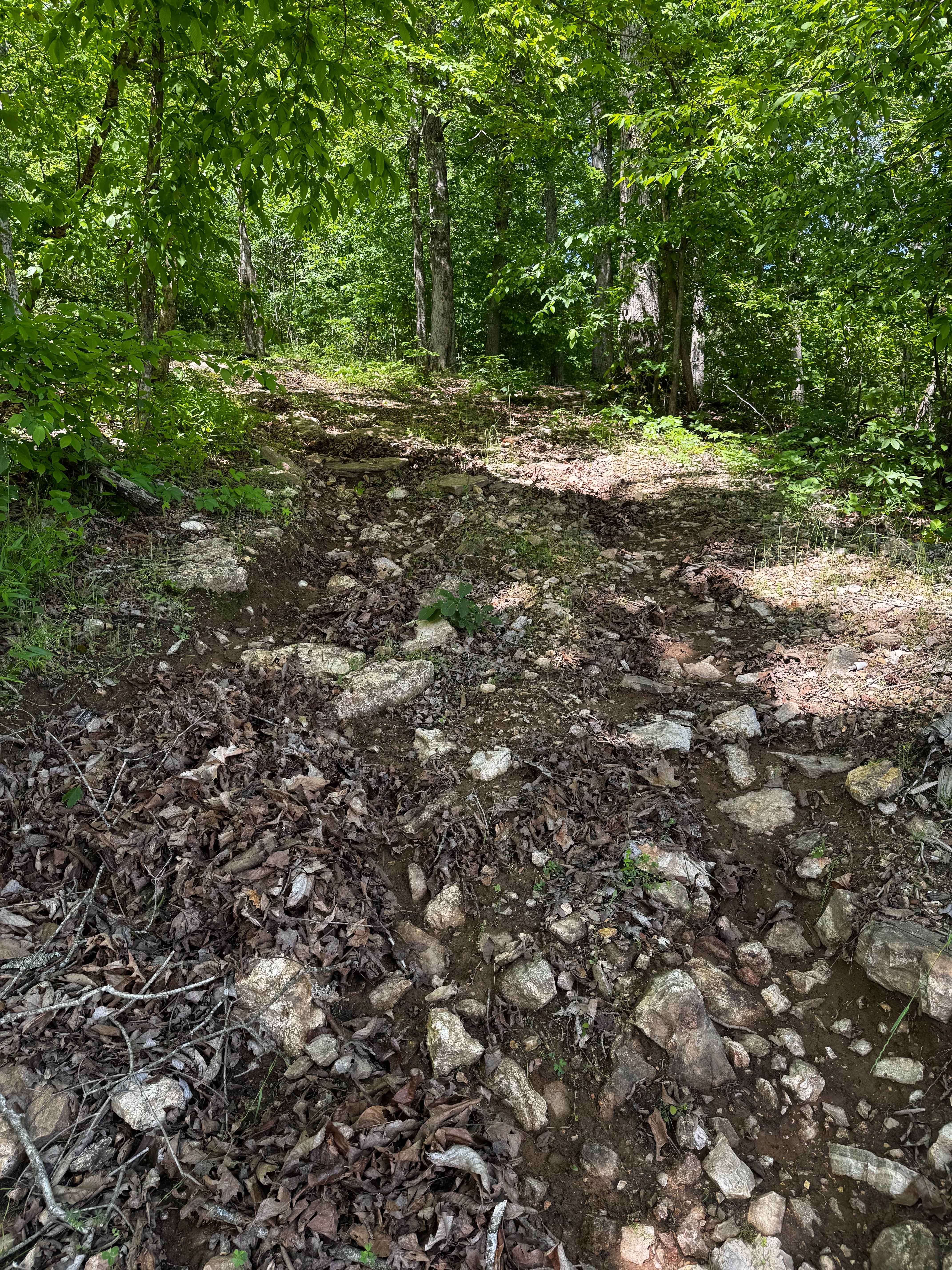 Hillside 70.5