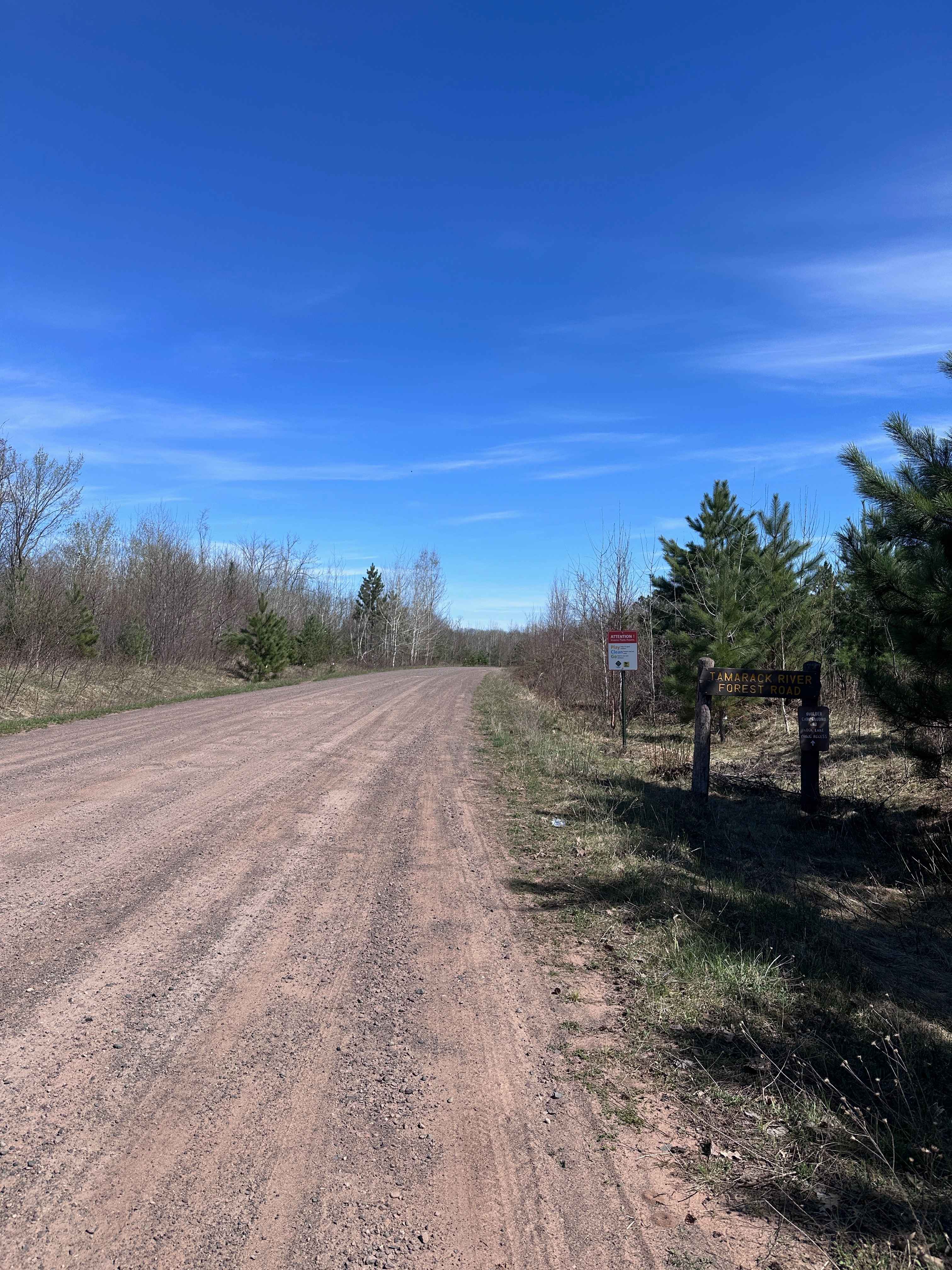 Tamarack River Forest Road