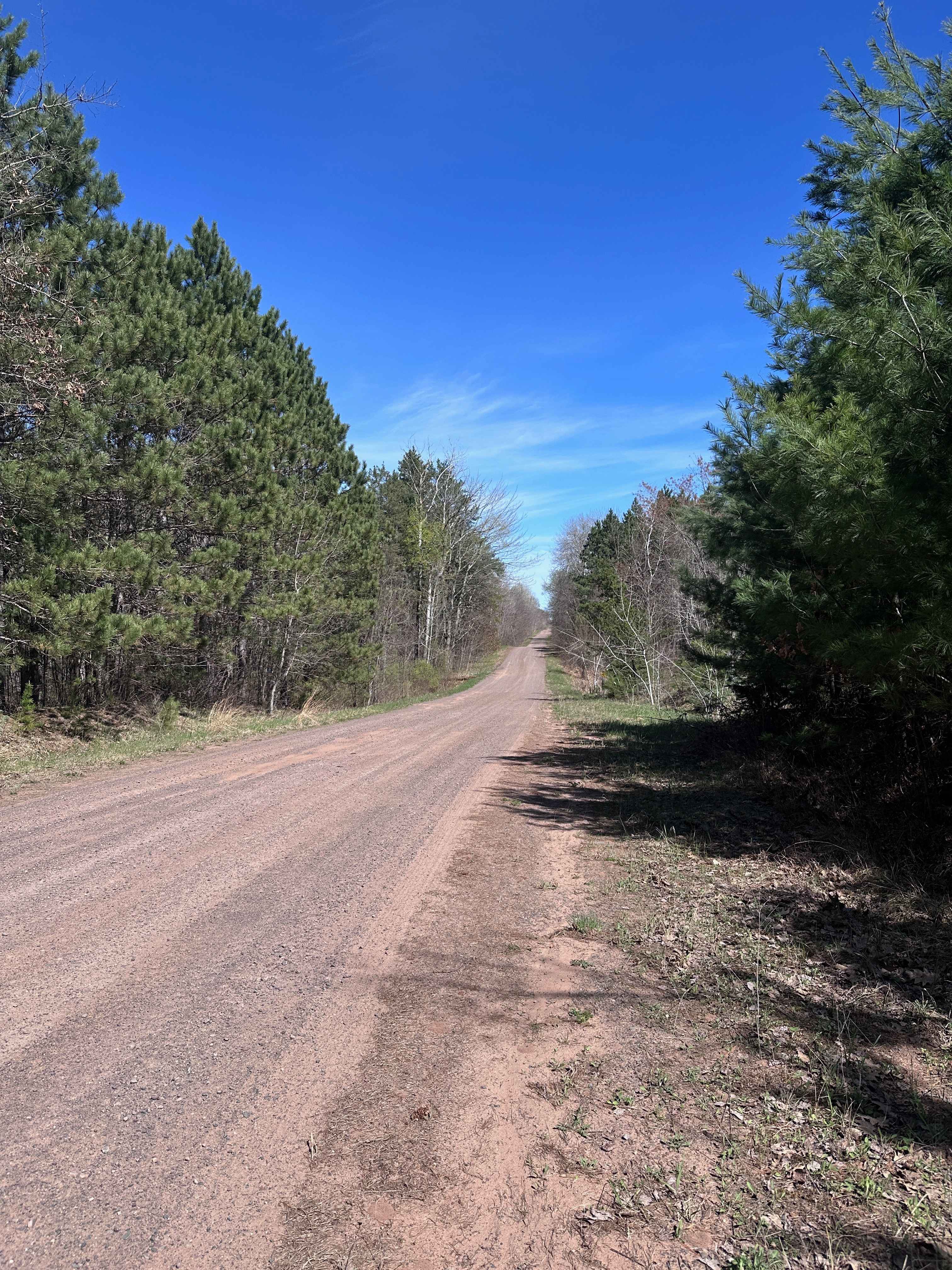 Tamarack River Forest Road