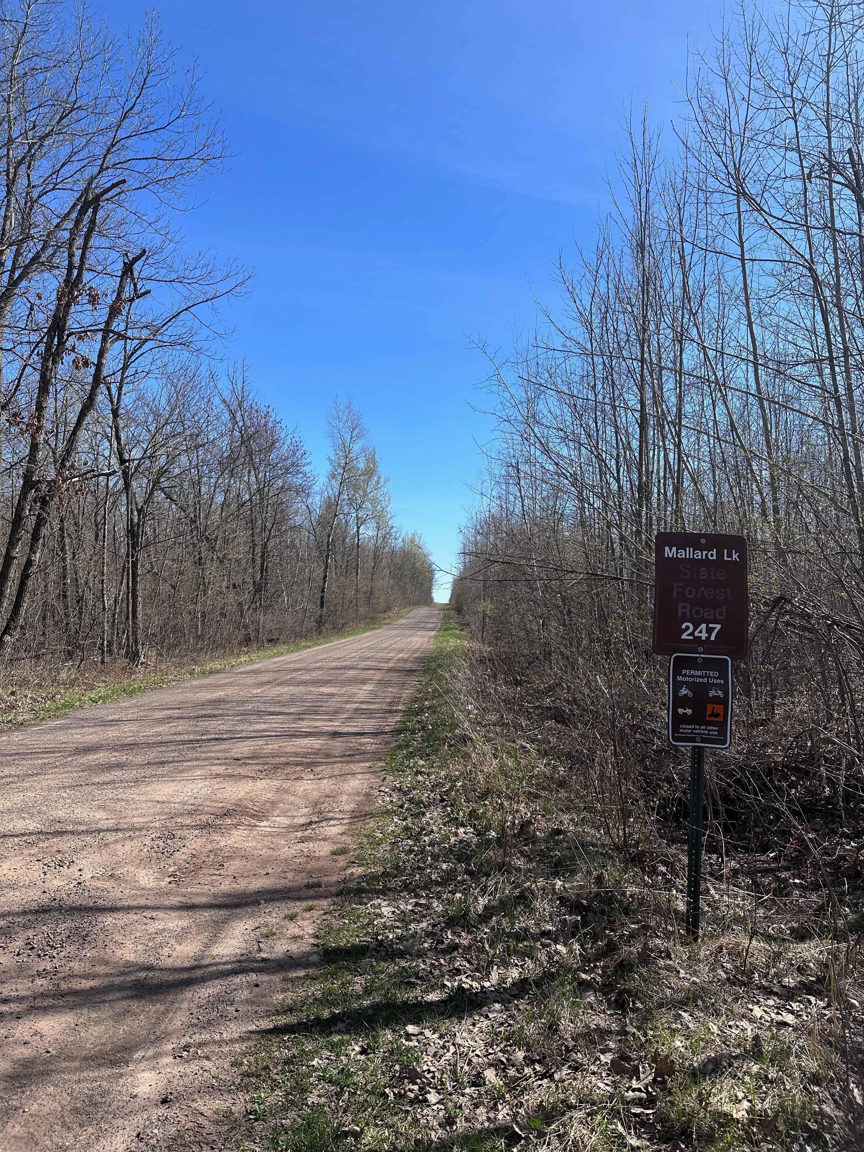 Mallard Lake Forest Road