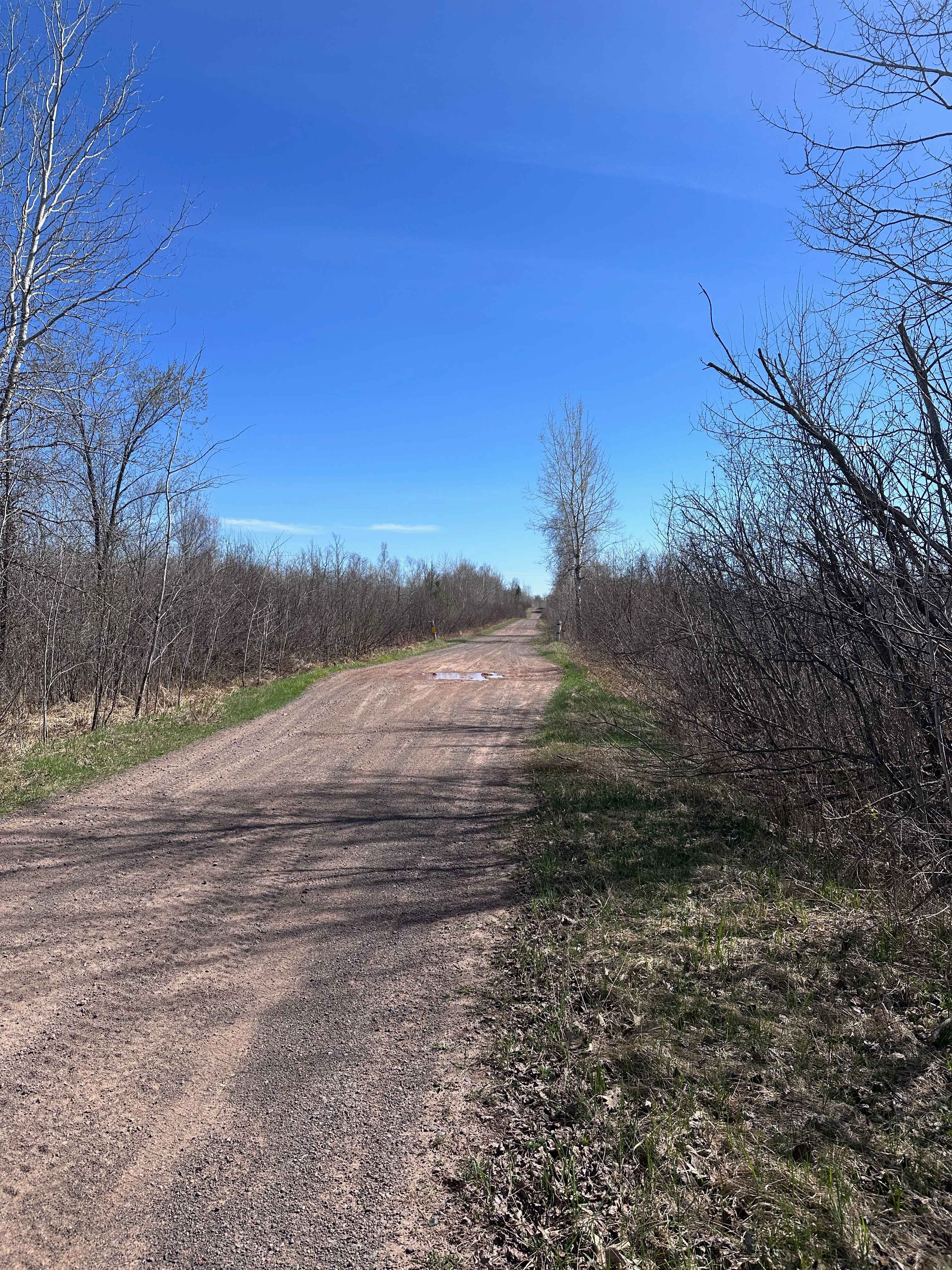 Mallard Lake Forest Road