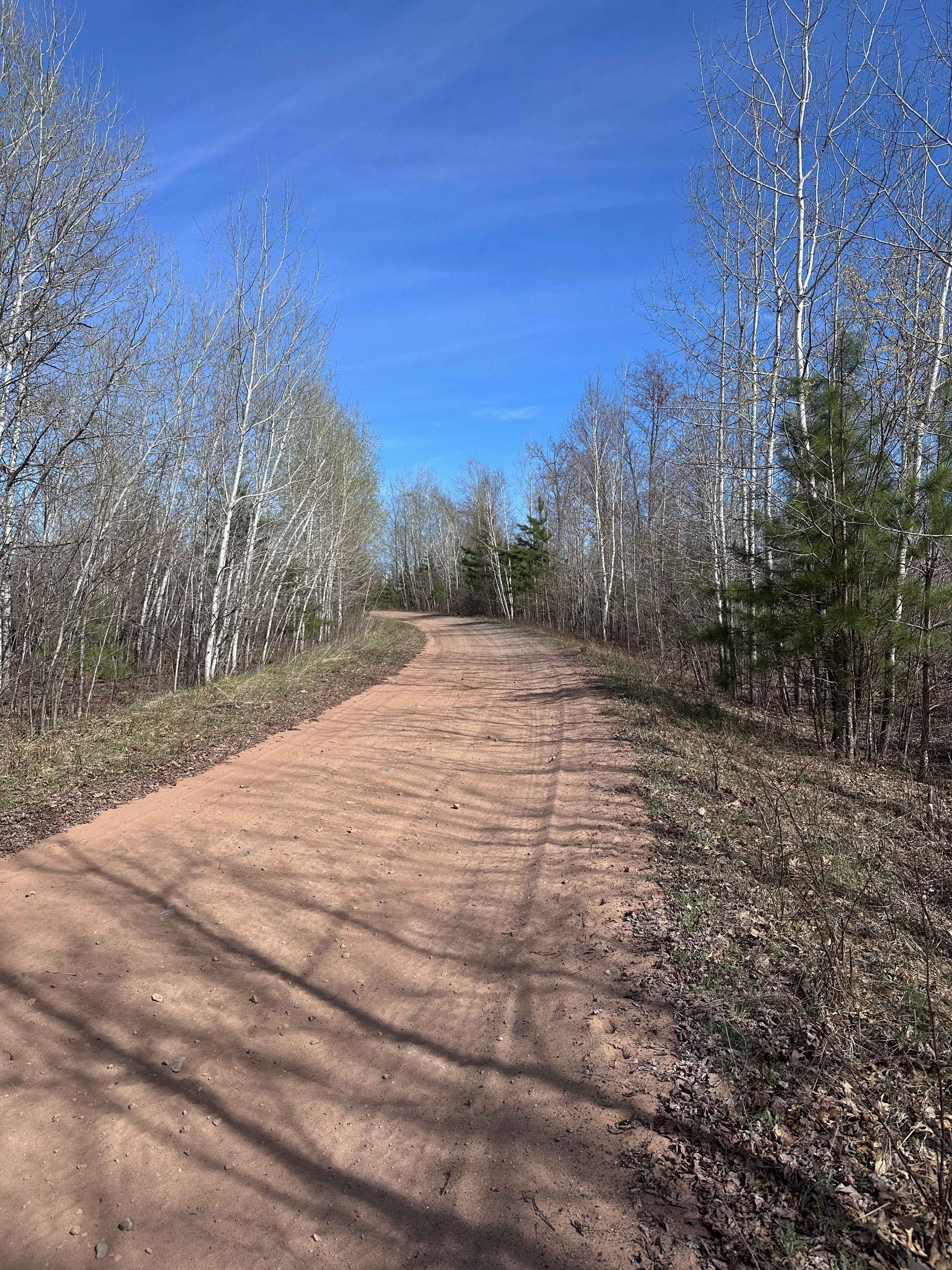East Arm Forest Road