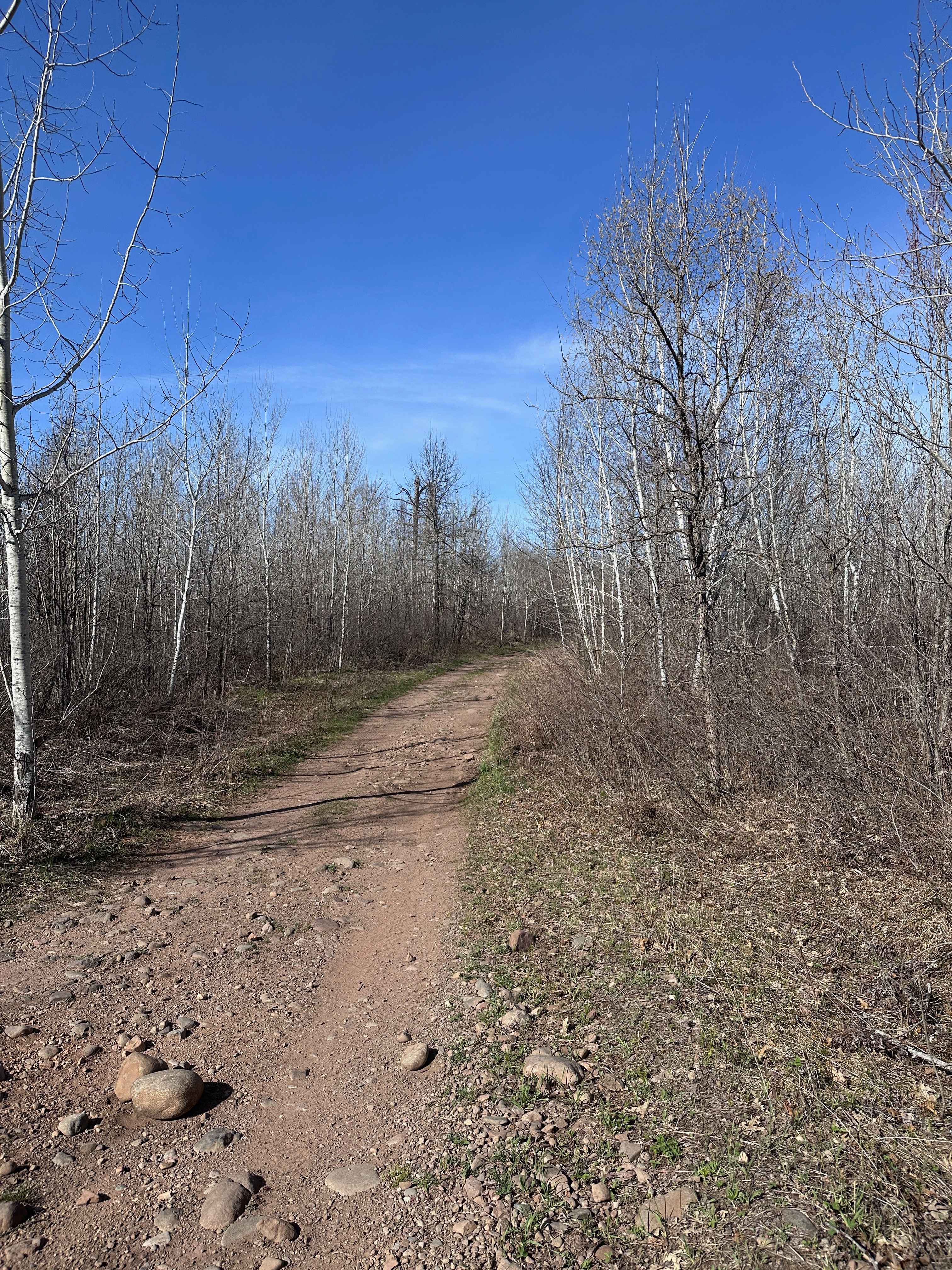 Trout Brook Trail