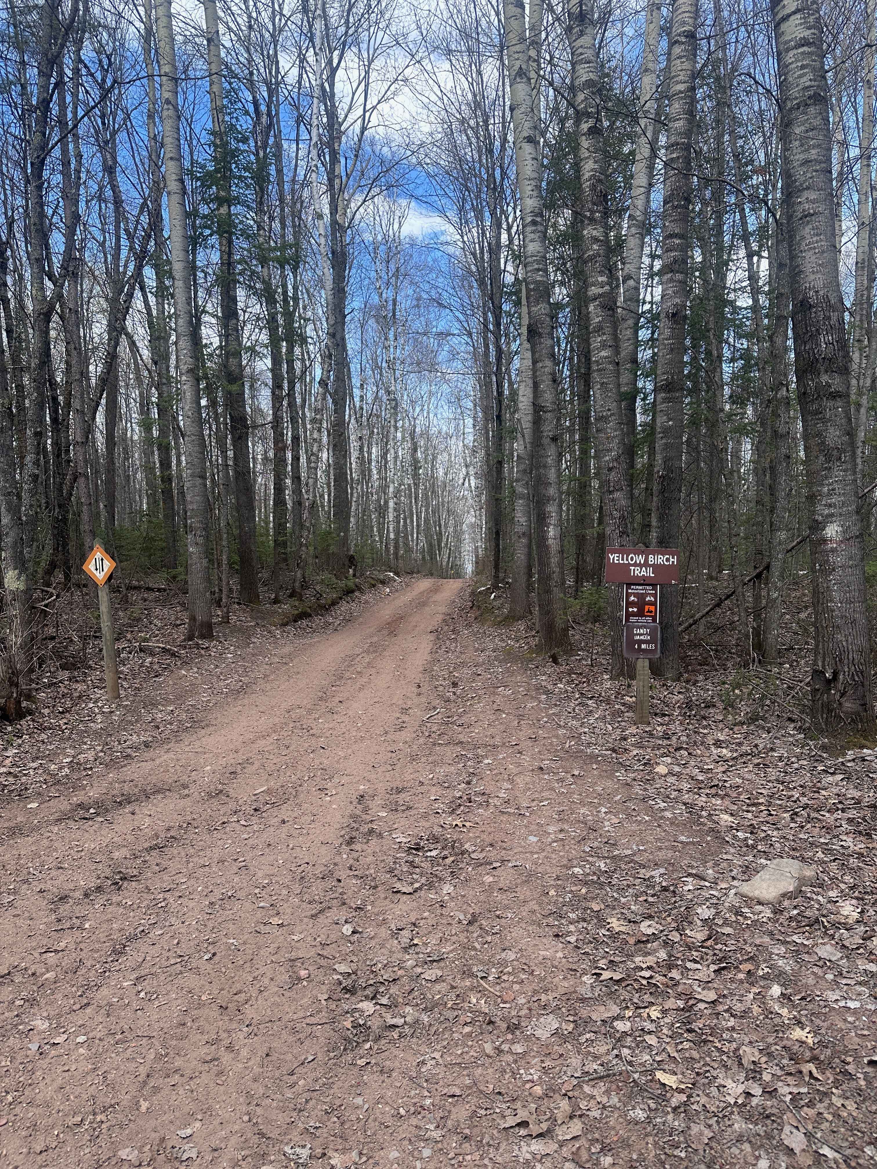 Yellow Birch Trail