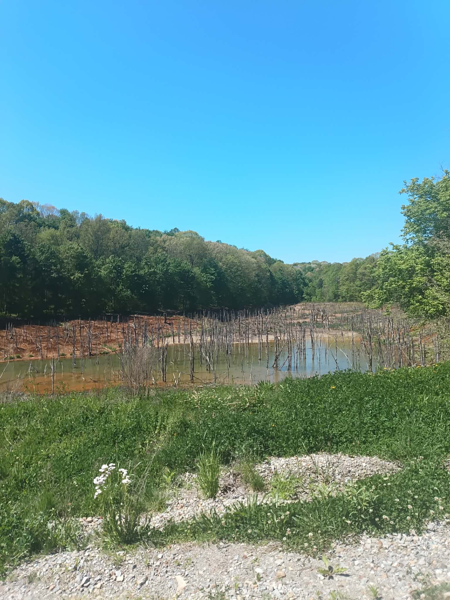 Township Highway NR1
