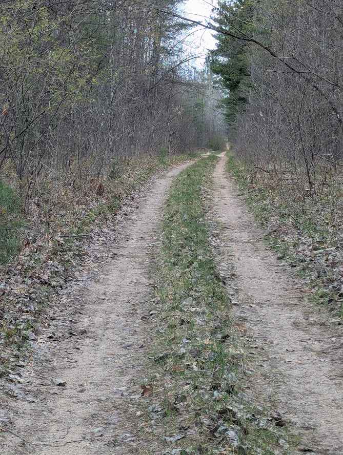 Shaltz Drive