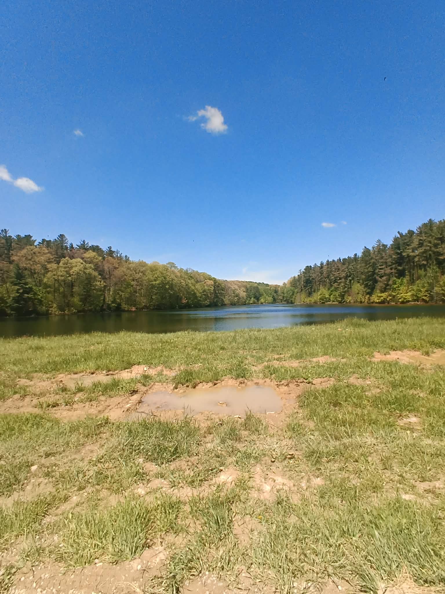 Essington Lake